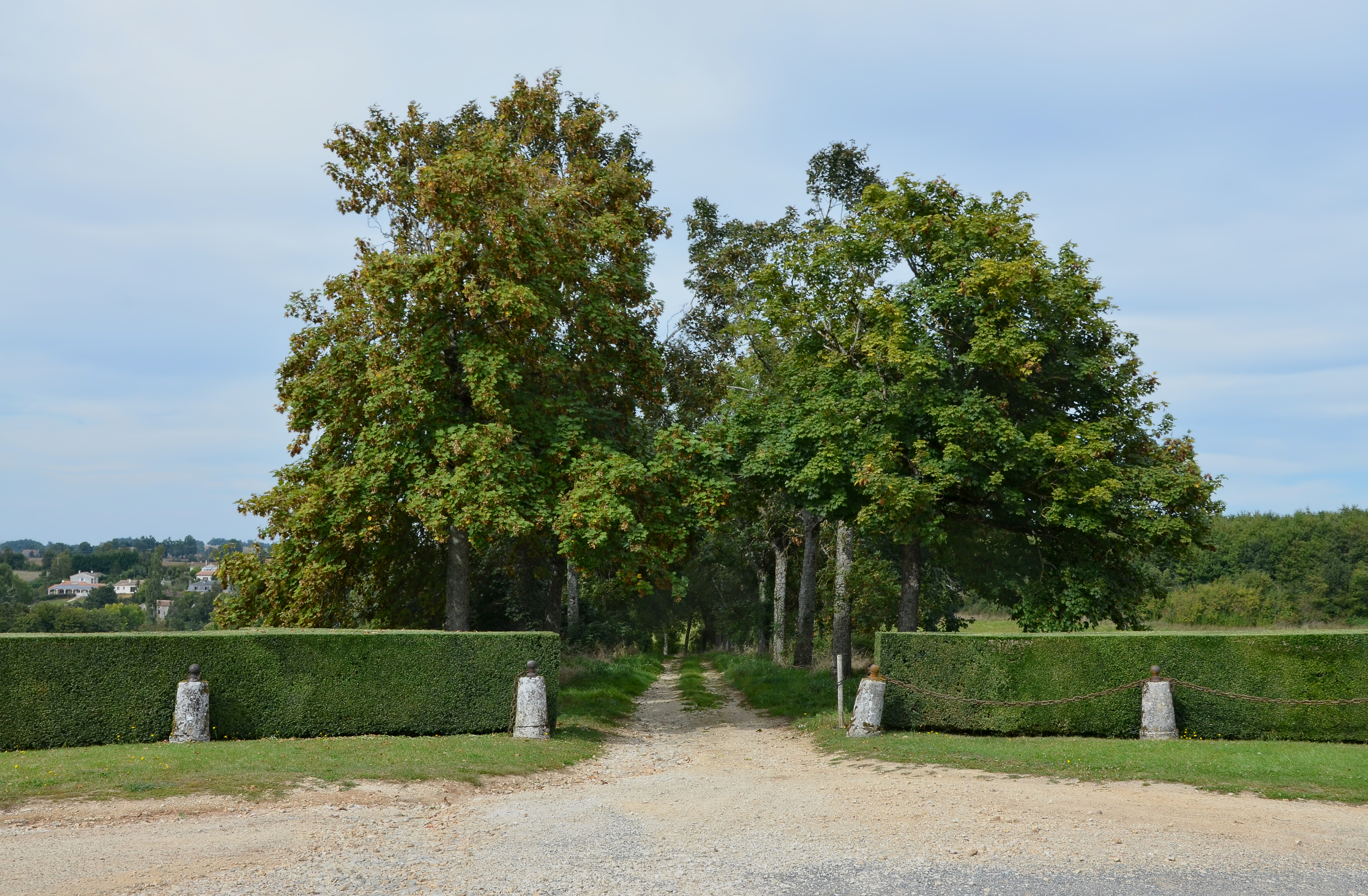 Bioussac 16 Allée vers Lizonne depuis-D197 2014