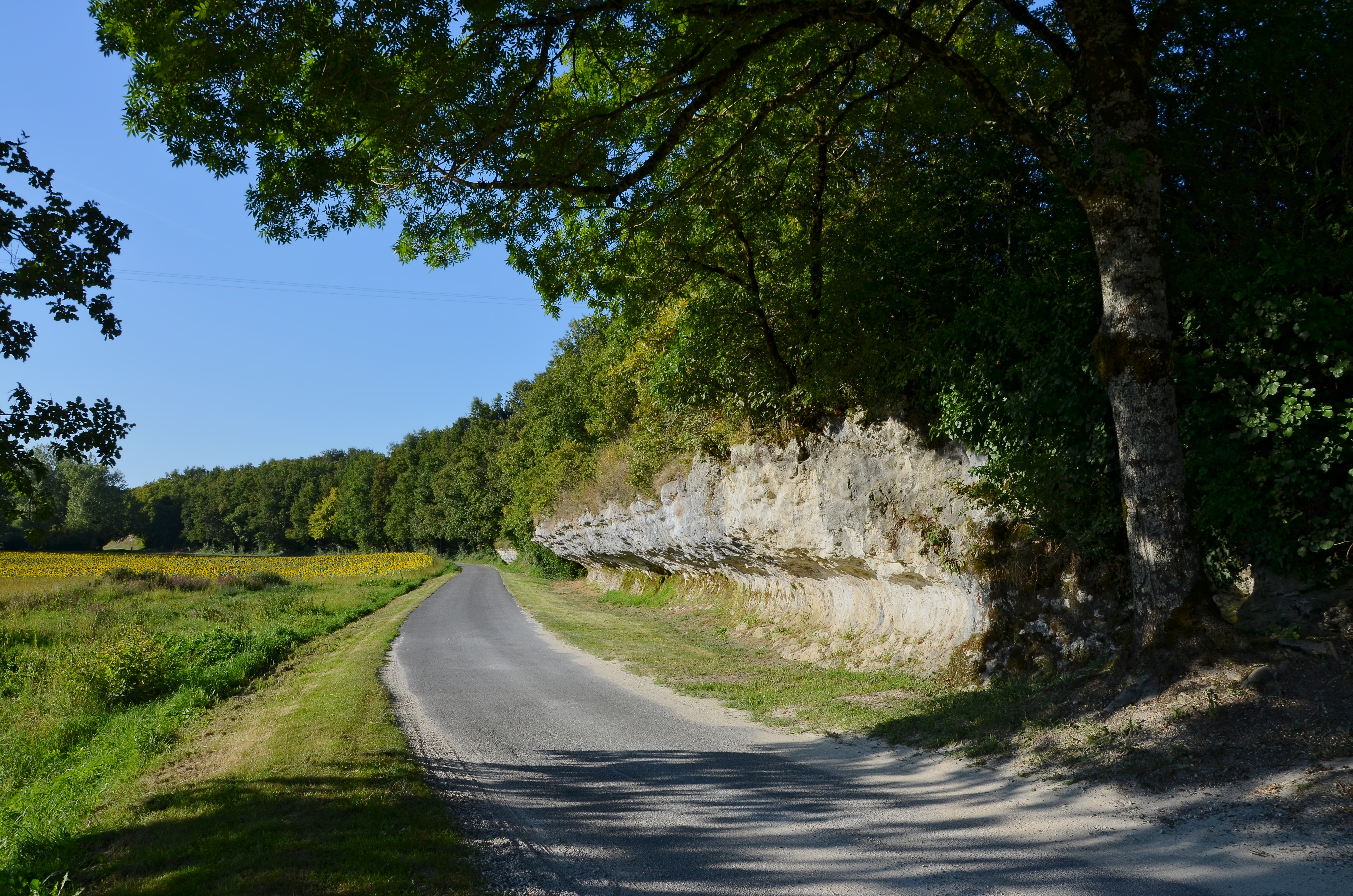 Blanzaguet-Saint-Cybard La Challerie Falaise 2014