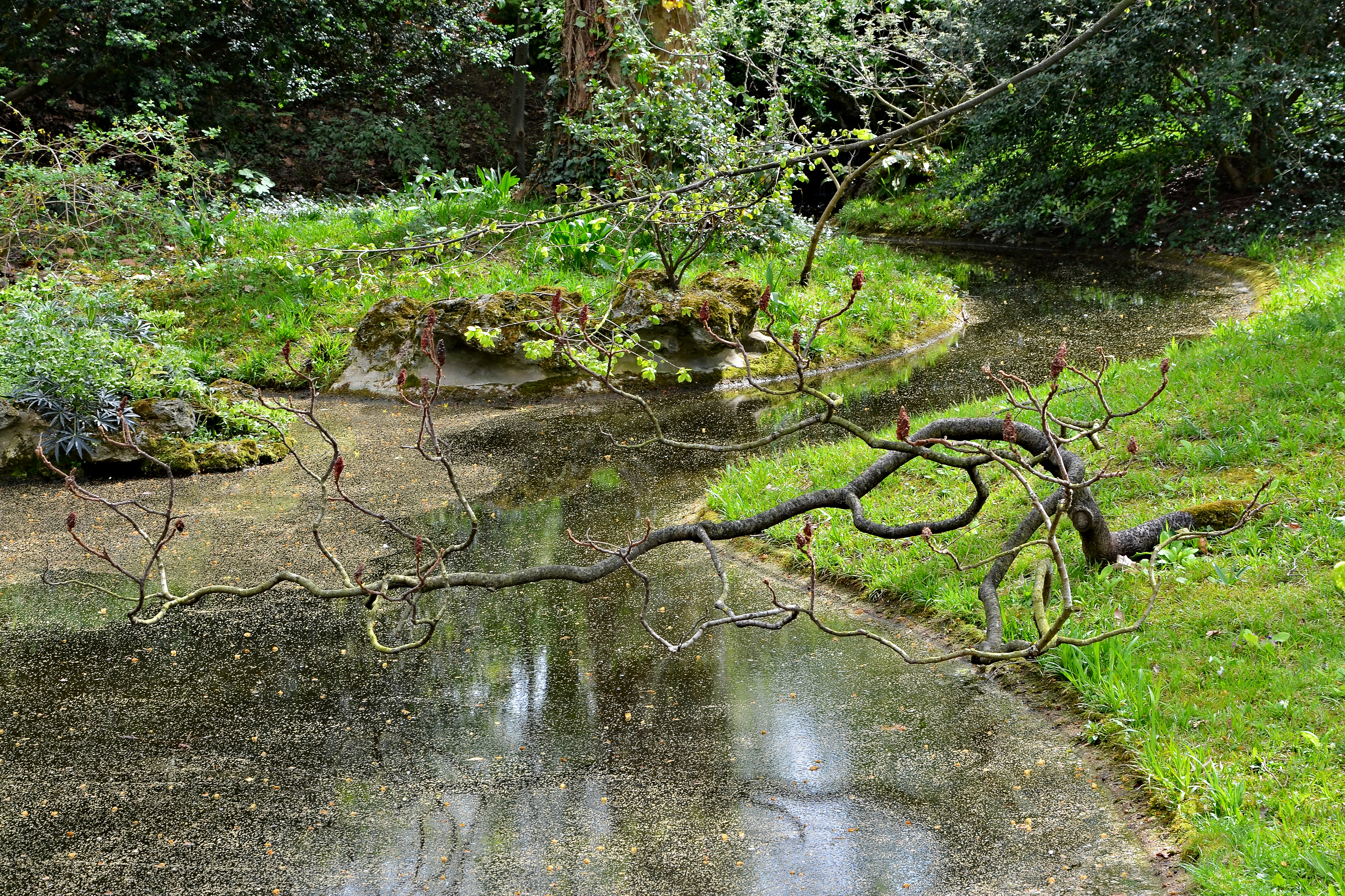 Boulogne-Bill Musée A-Kahn Jardin détail 2014