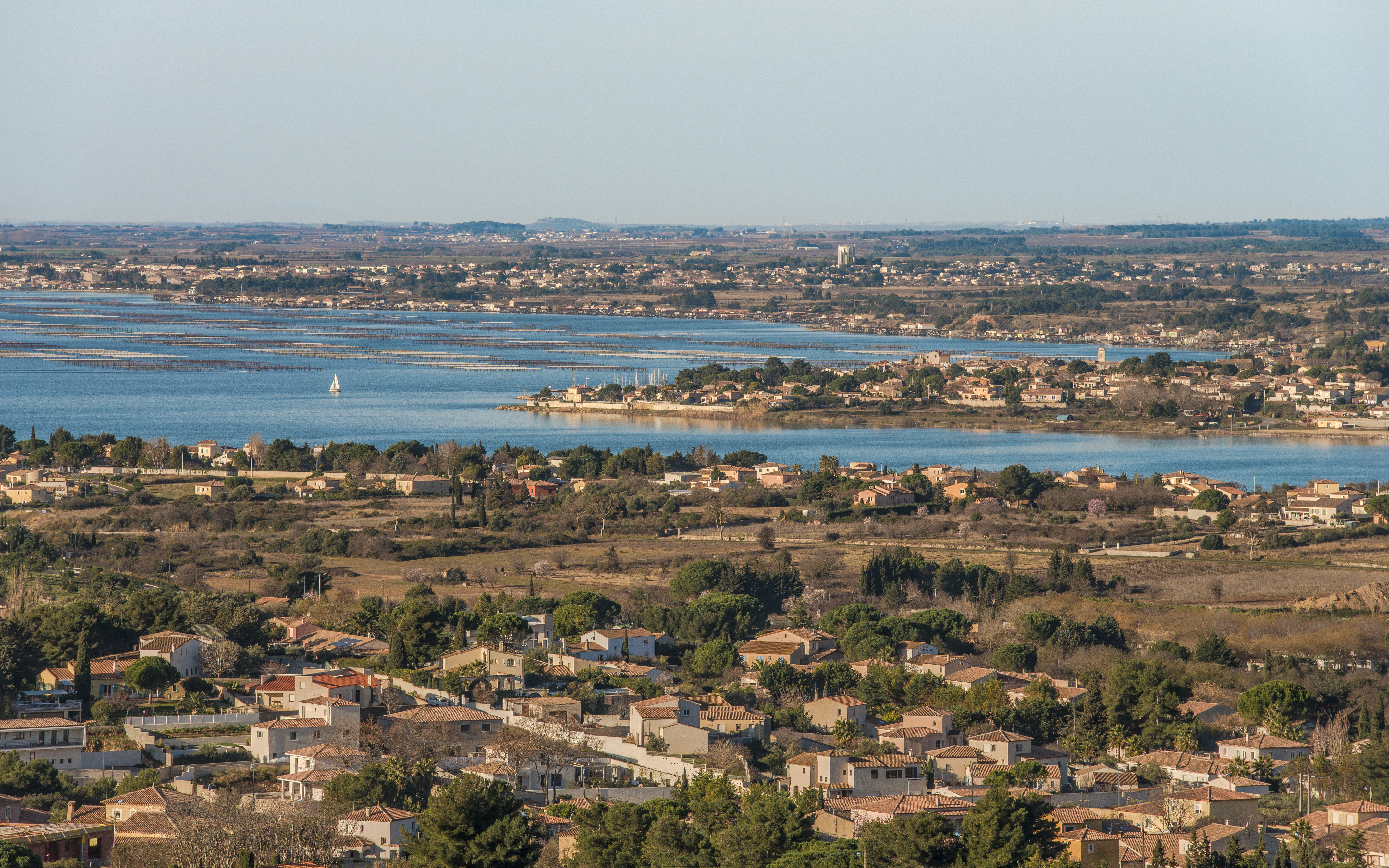 Bouzigues, Hérault 01