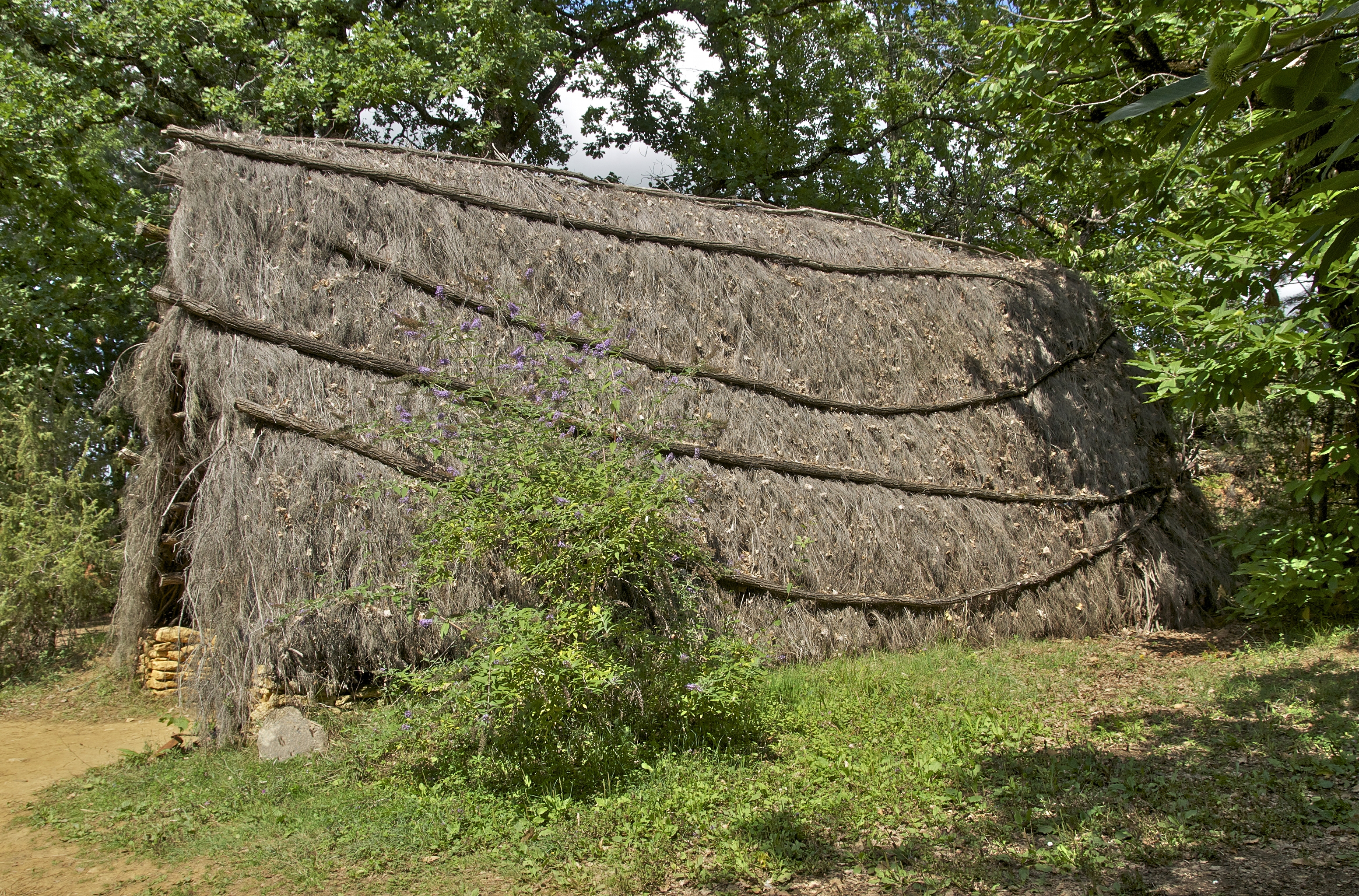 Cabane chaume