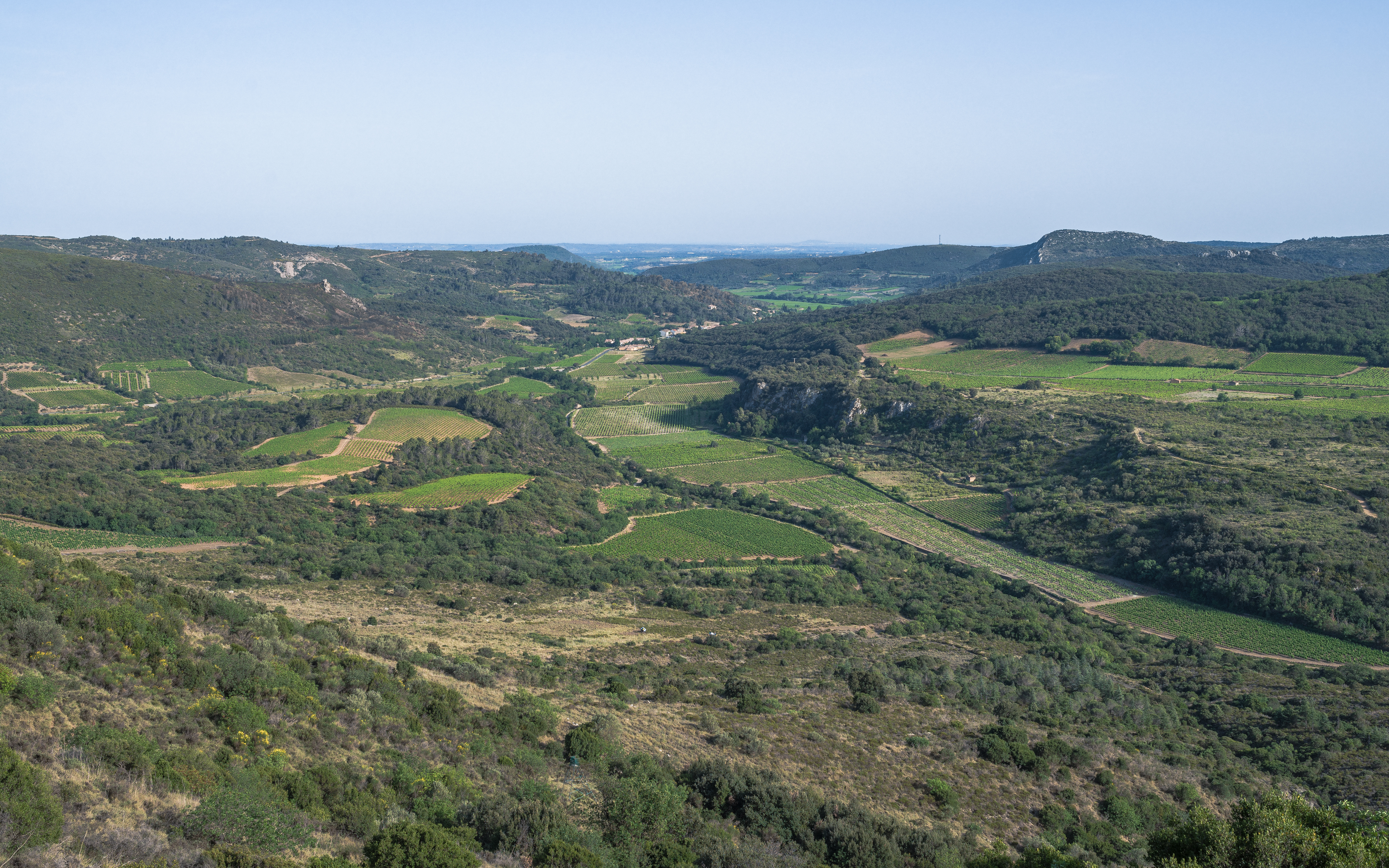 Cabrières, Hérault 03