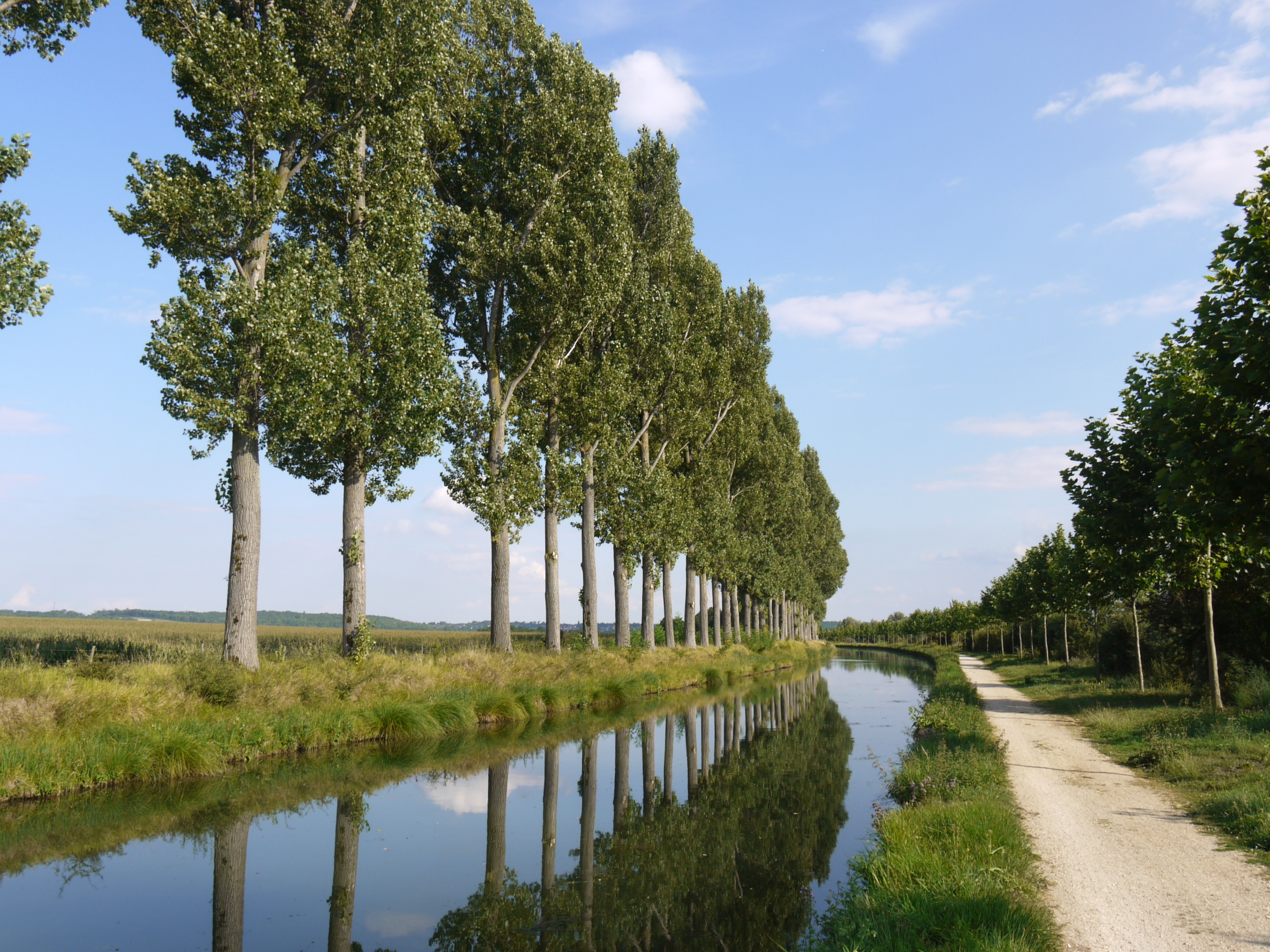 Canal de l'Ourcq pres de Vignely P1050588