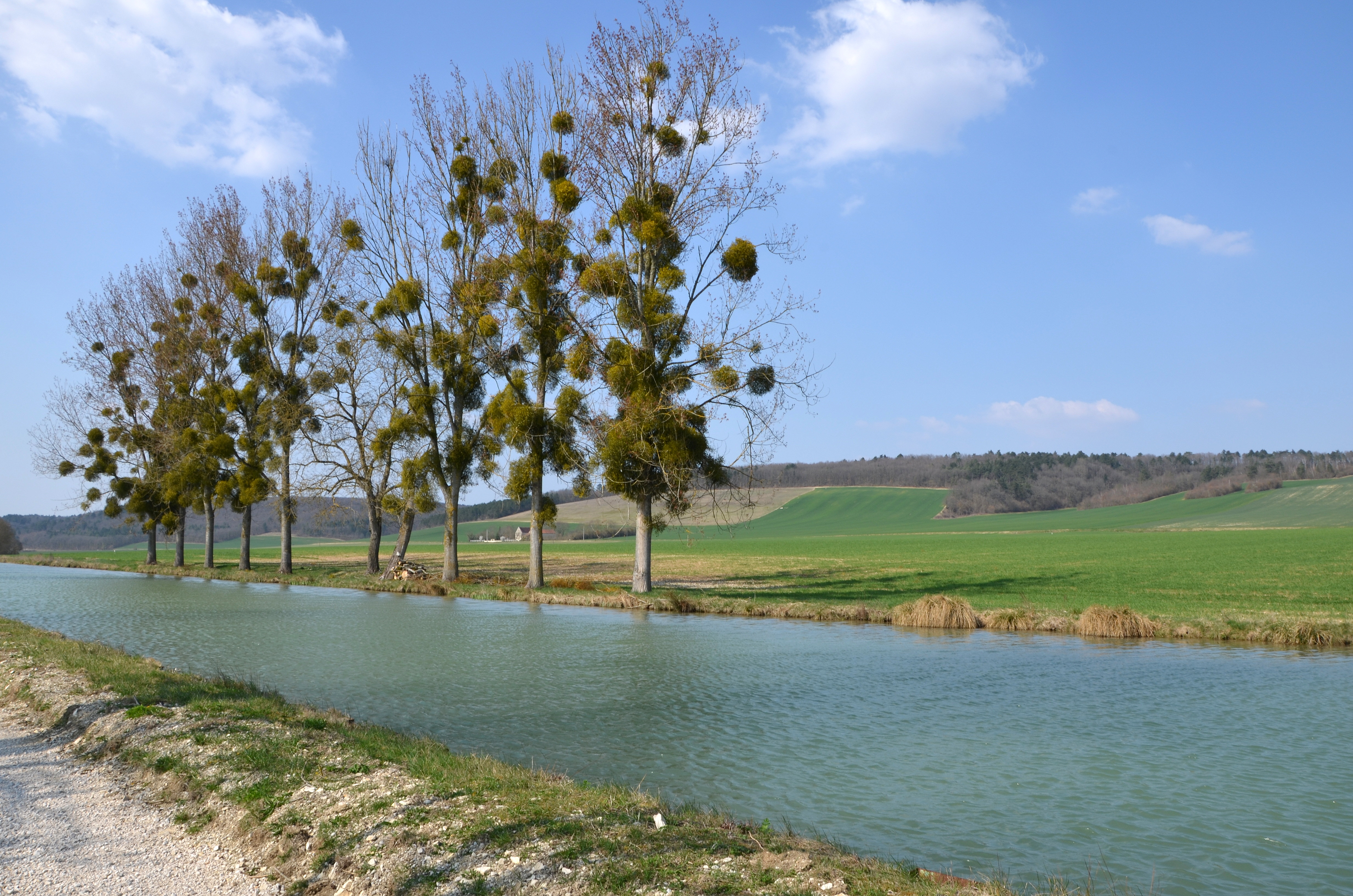 Canal entre Commissey et Tonnerre DSC 0379