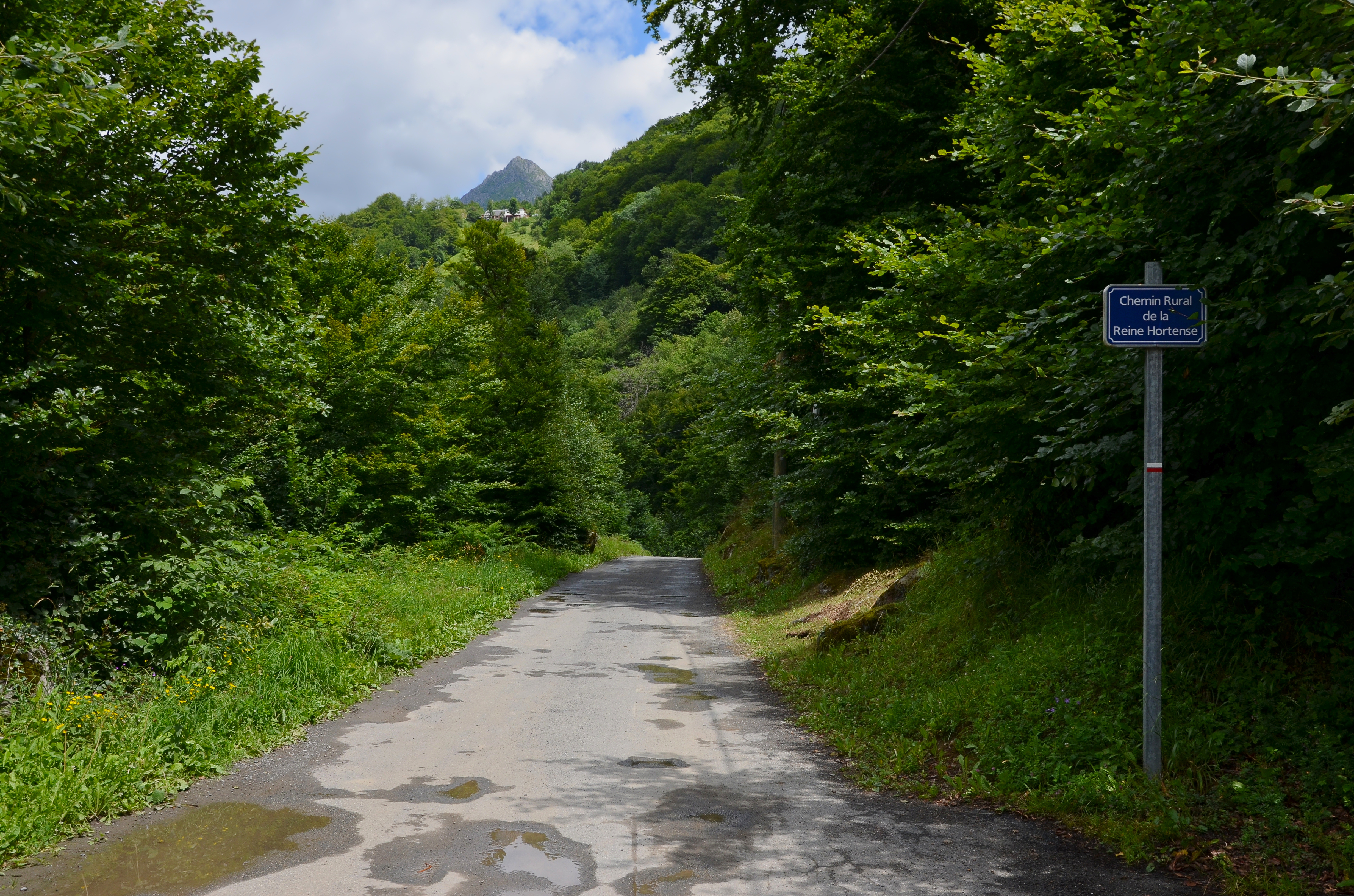 Cauterets 65 Chemin Reine Hortense GR 10 2014