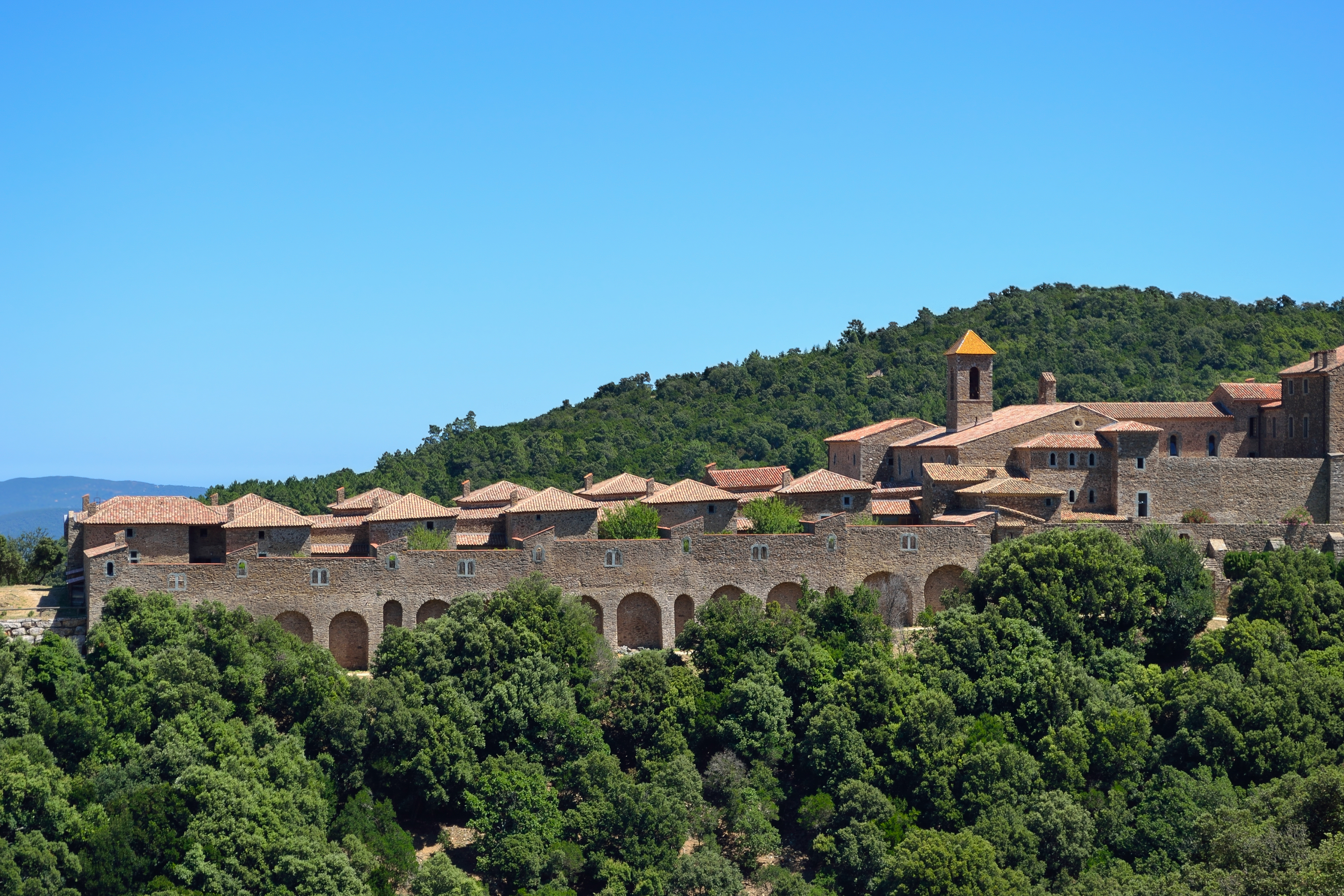Chartreuse de la Verne 2013 01
