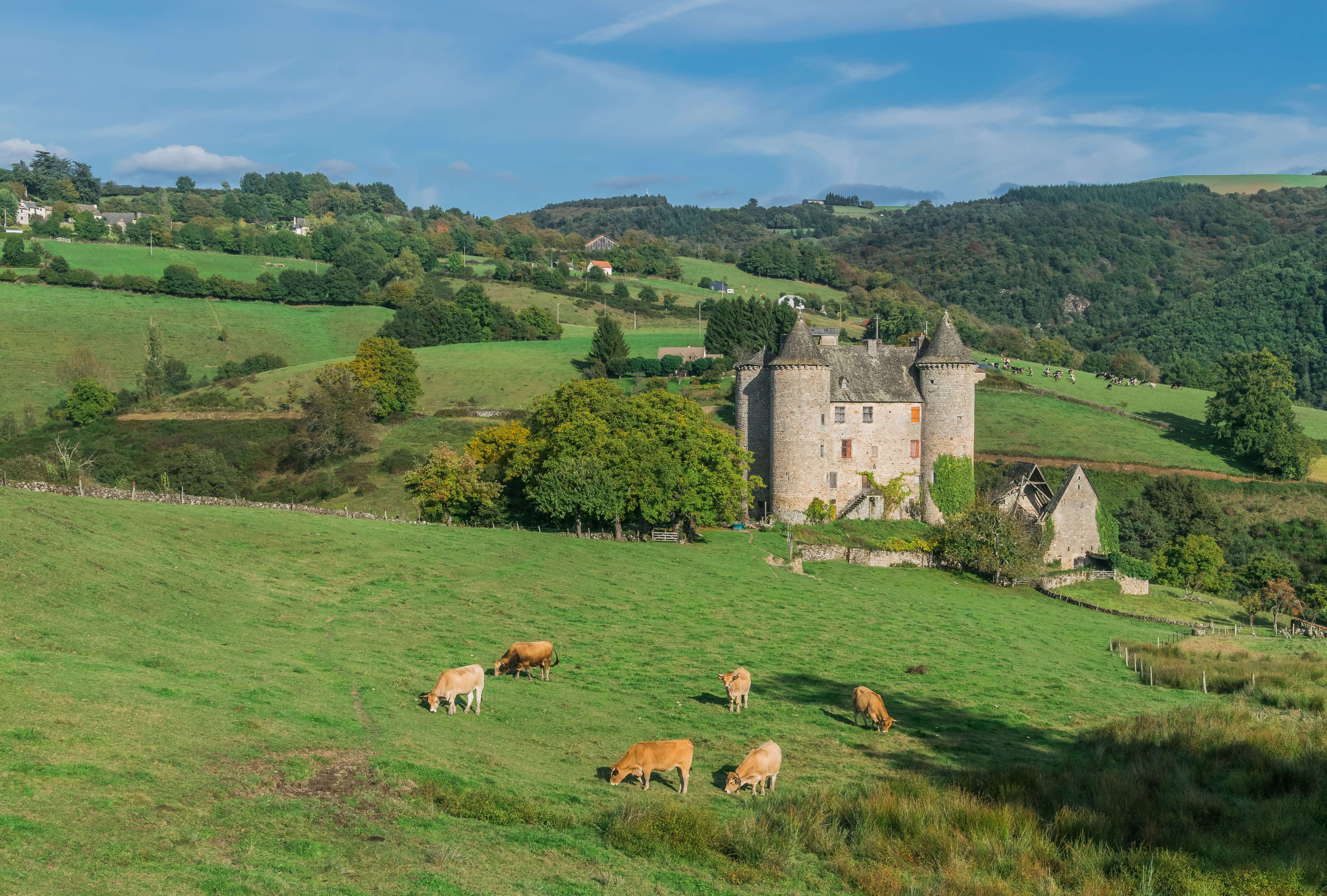 Chateau de Reghaud 25