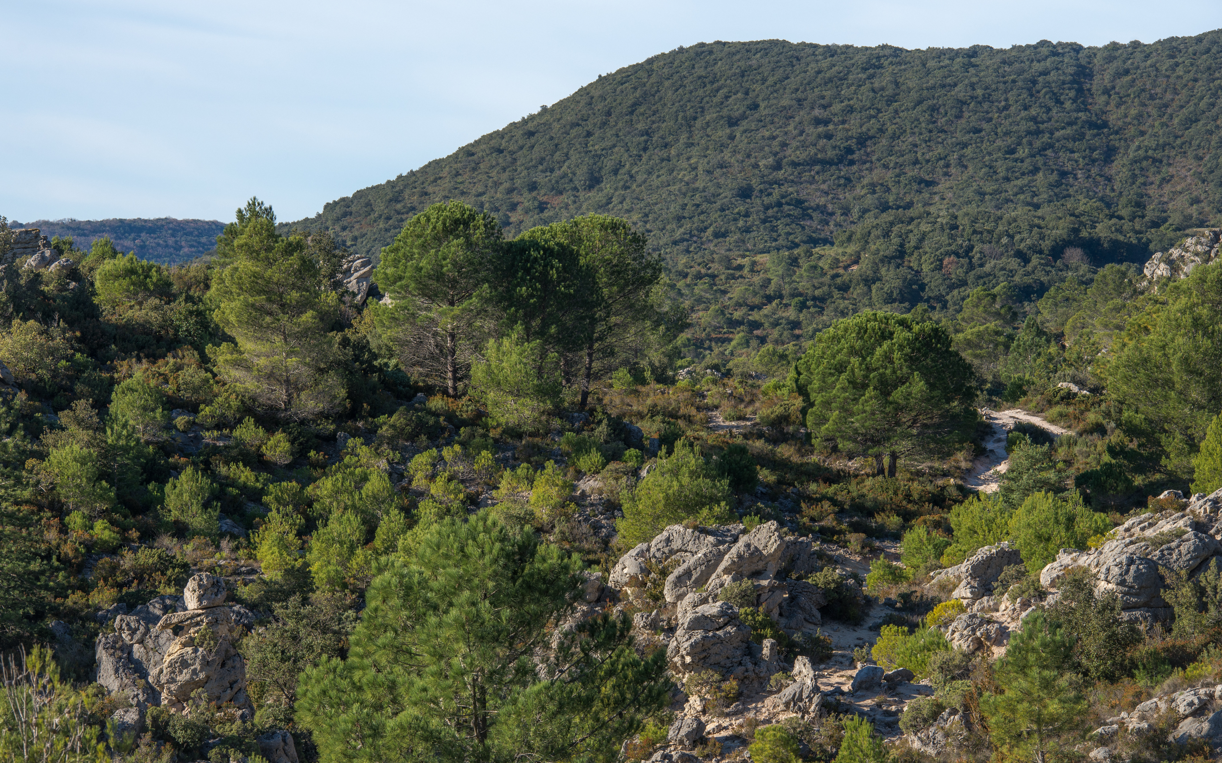 Cirque de Mourèze, Hérault 11