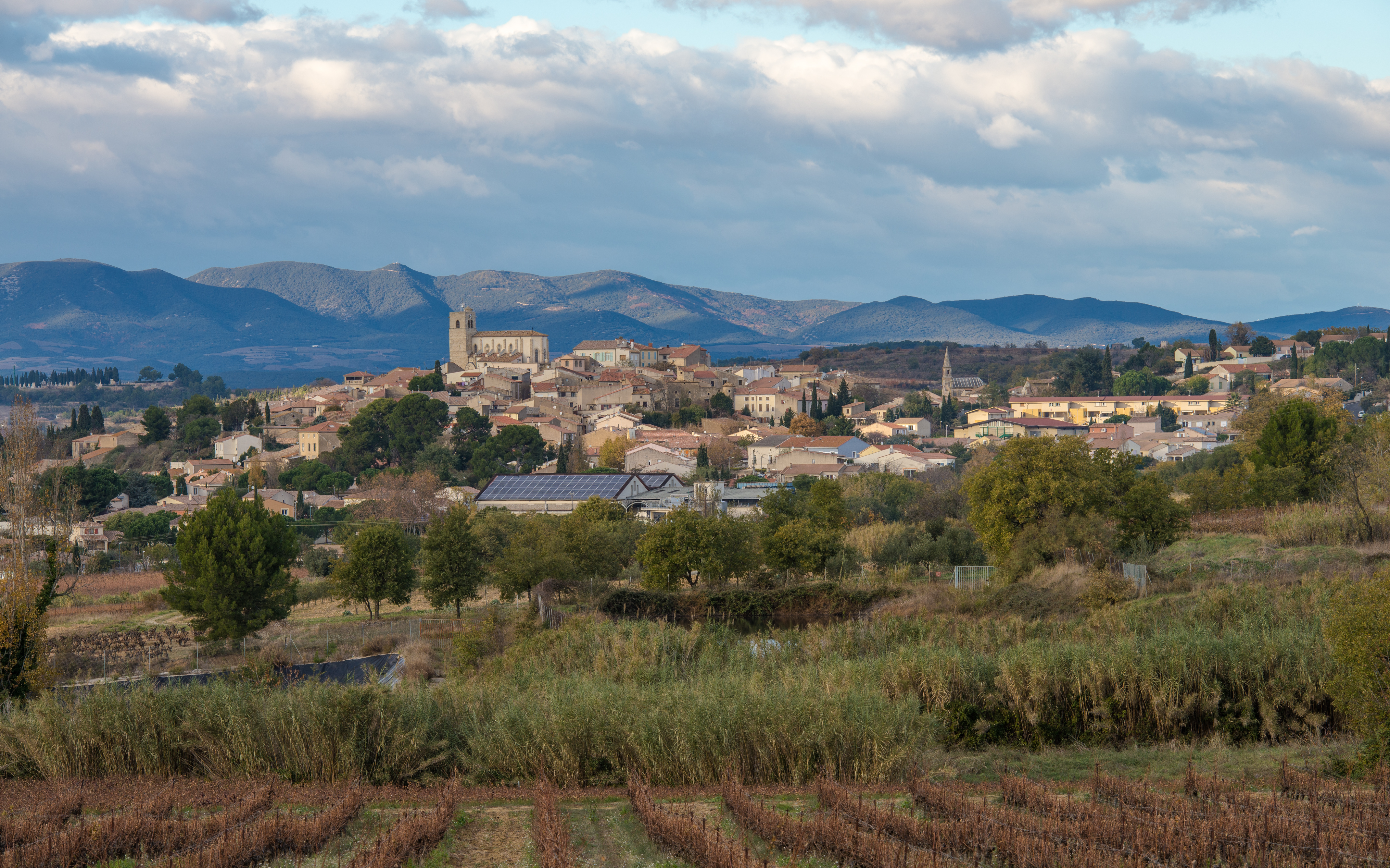 Corneilhan, Hérault 04