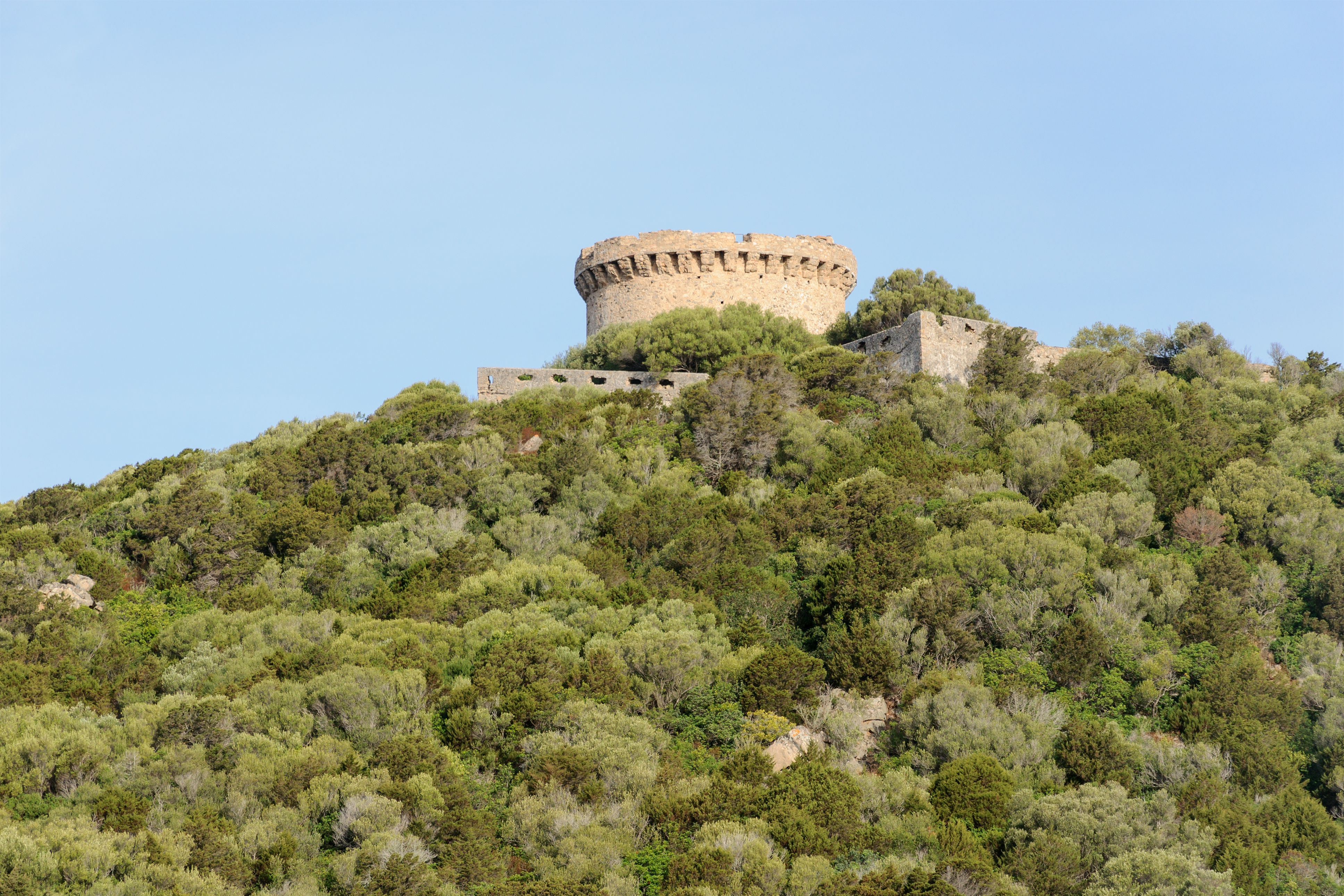 Corse Campomoro tour genoise