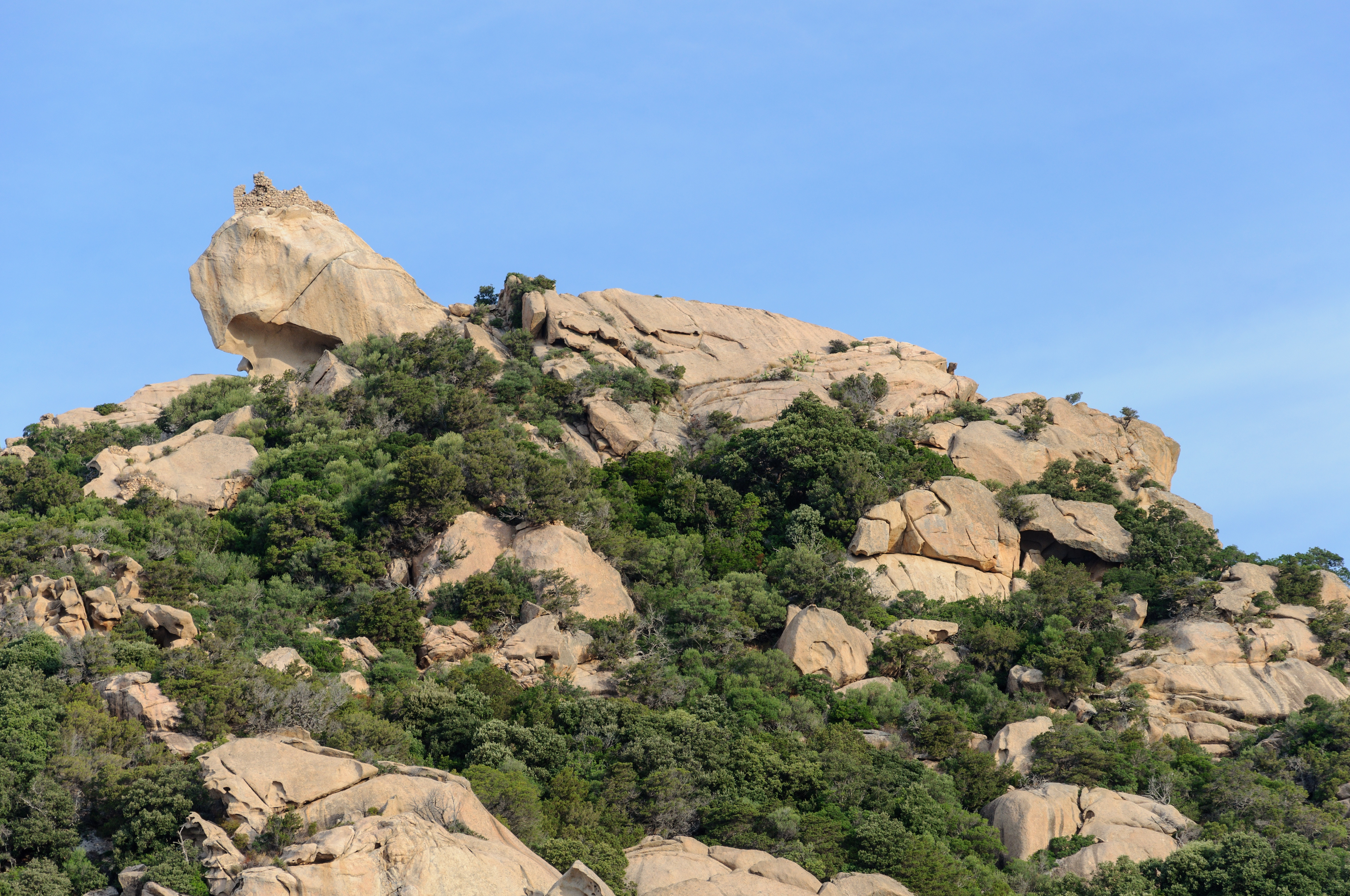 Corse Lion de Roccapina