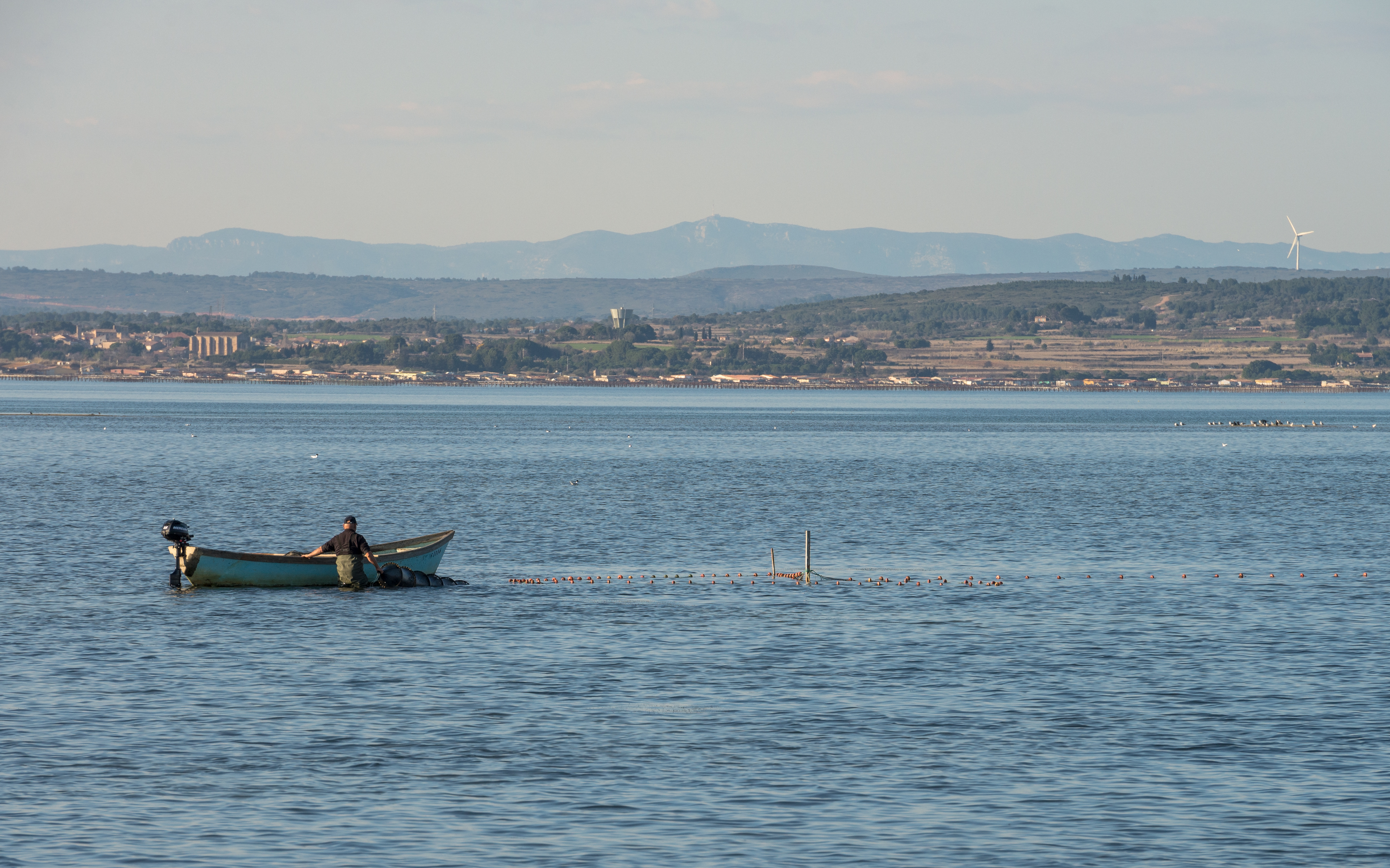 Fisherman, Étang de Thau, Hérault 01