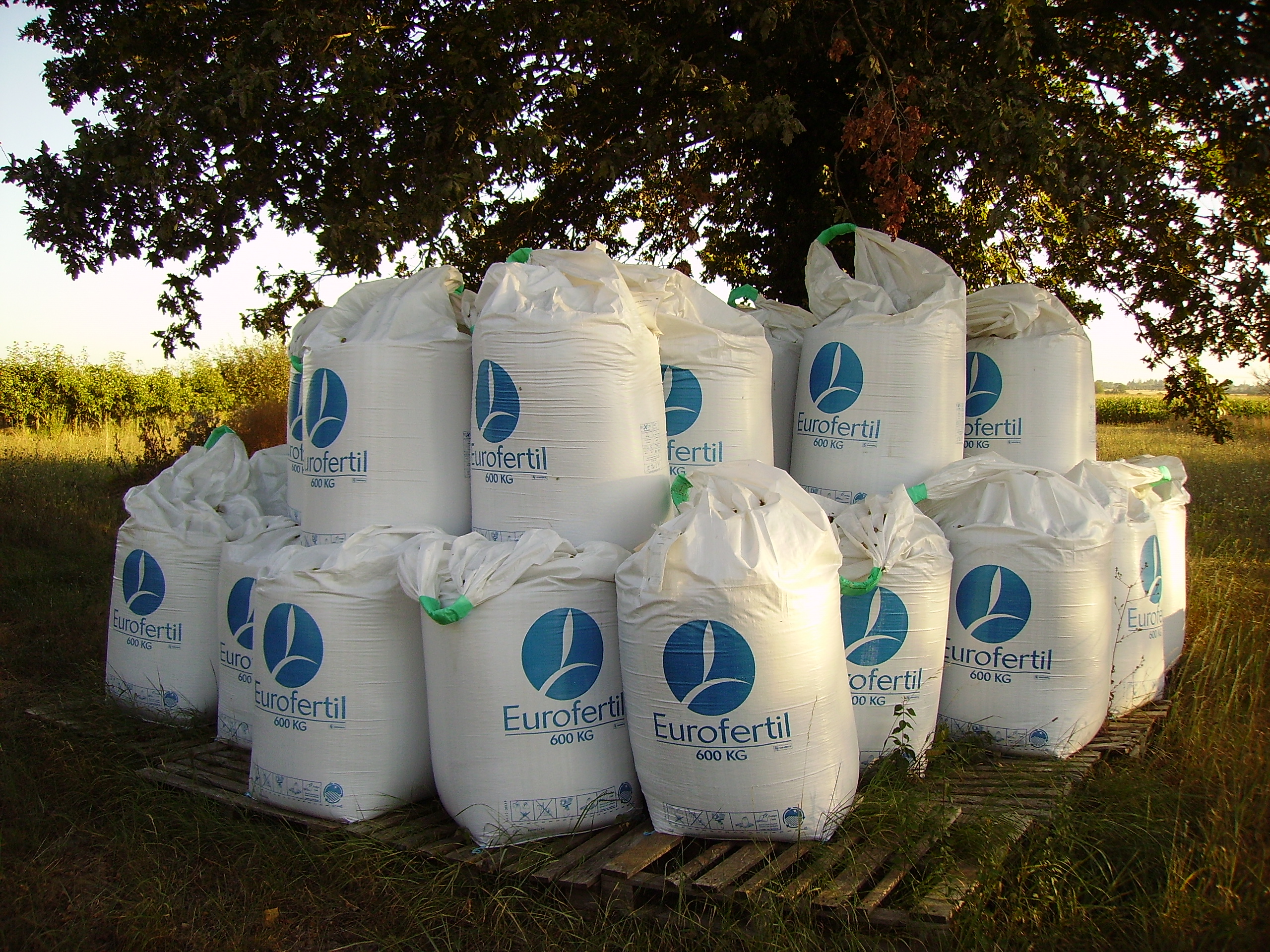 Flexible intermediate bulk containers-Fertilizer