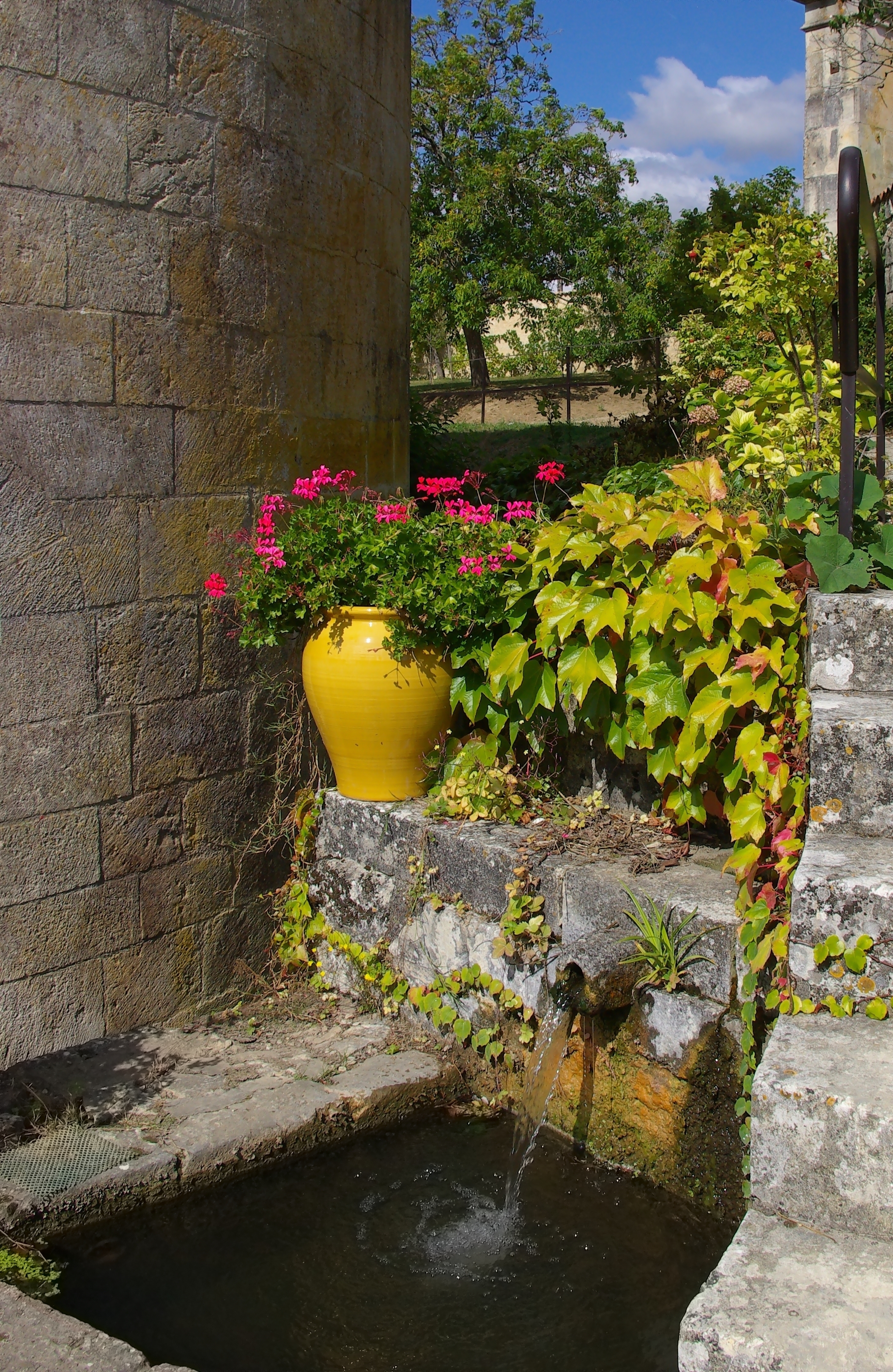 Fontdouce 17 Fontaine 2009