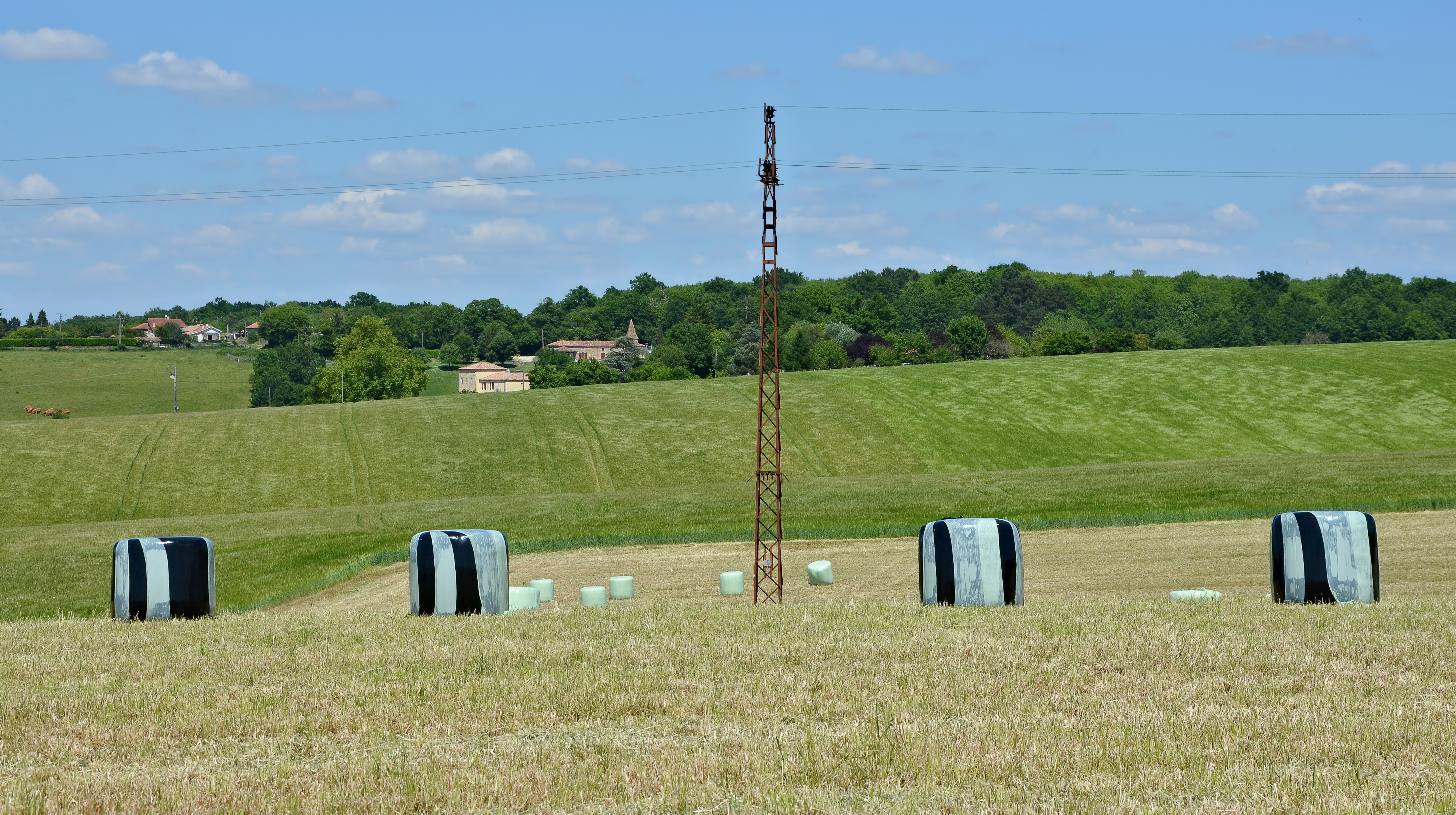 Gardes-le-Pontaroux 16 Champs près D939 2014