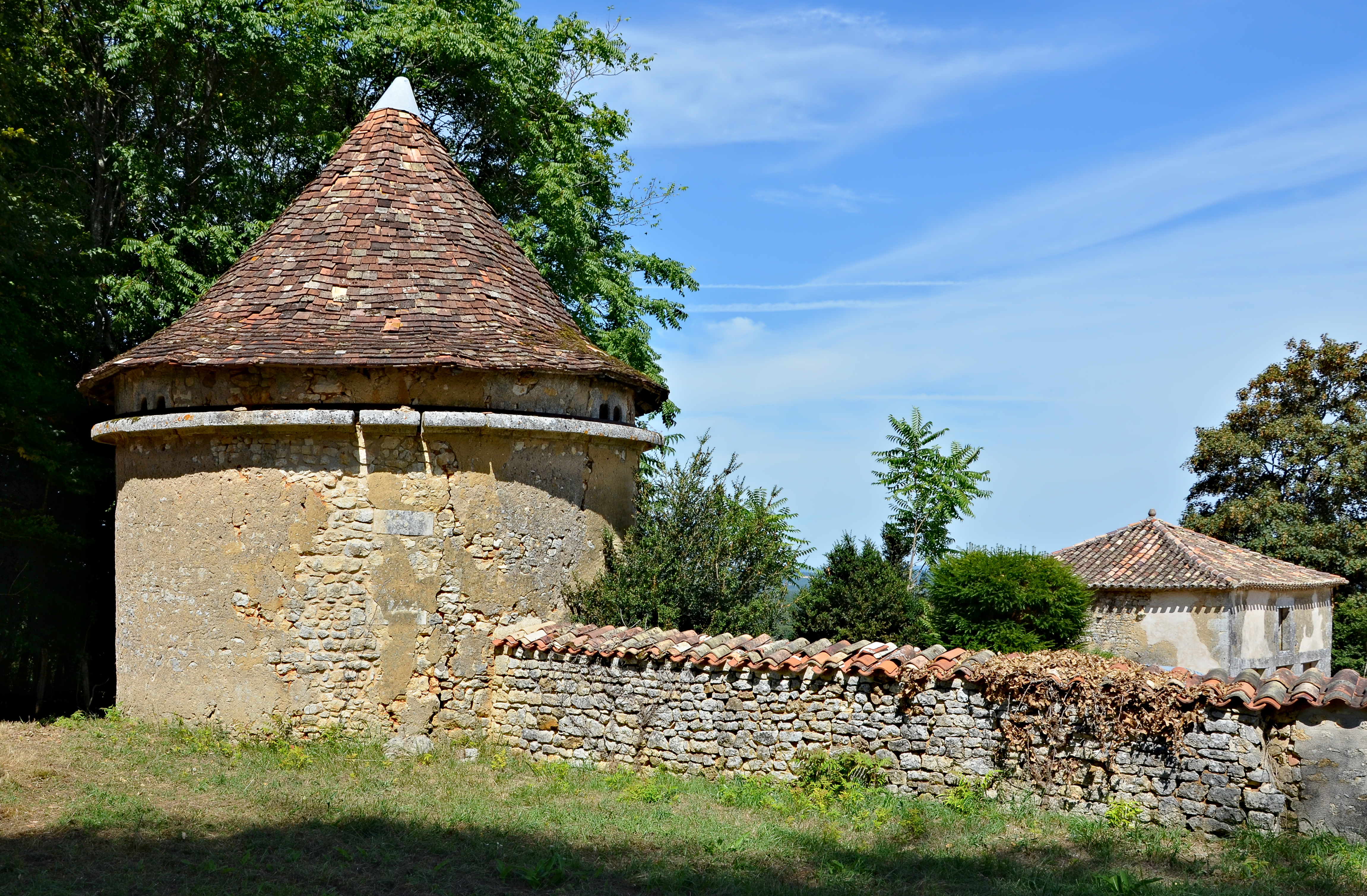 Grassac 16 La Bréchinie pigeonnier 2013