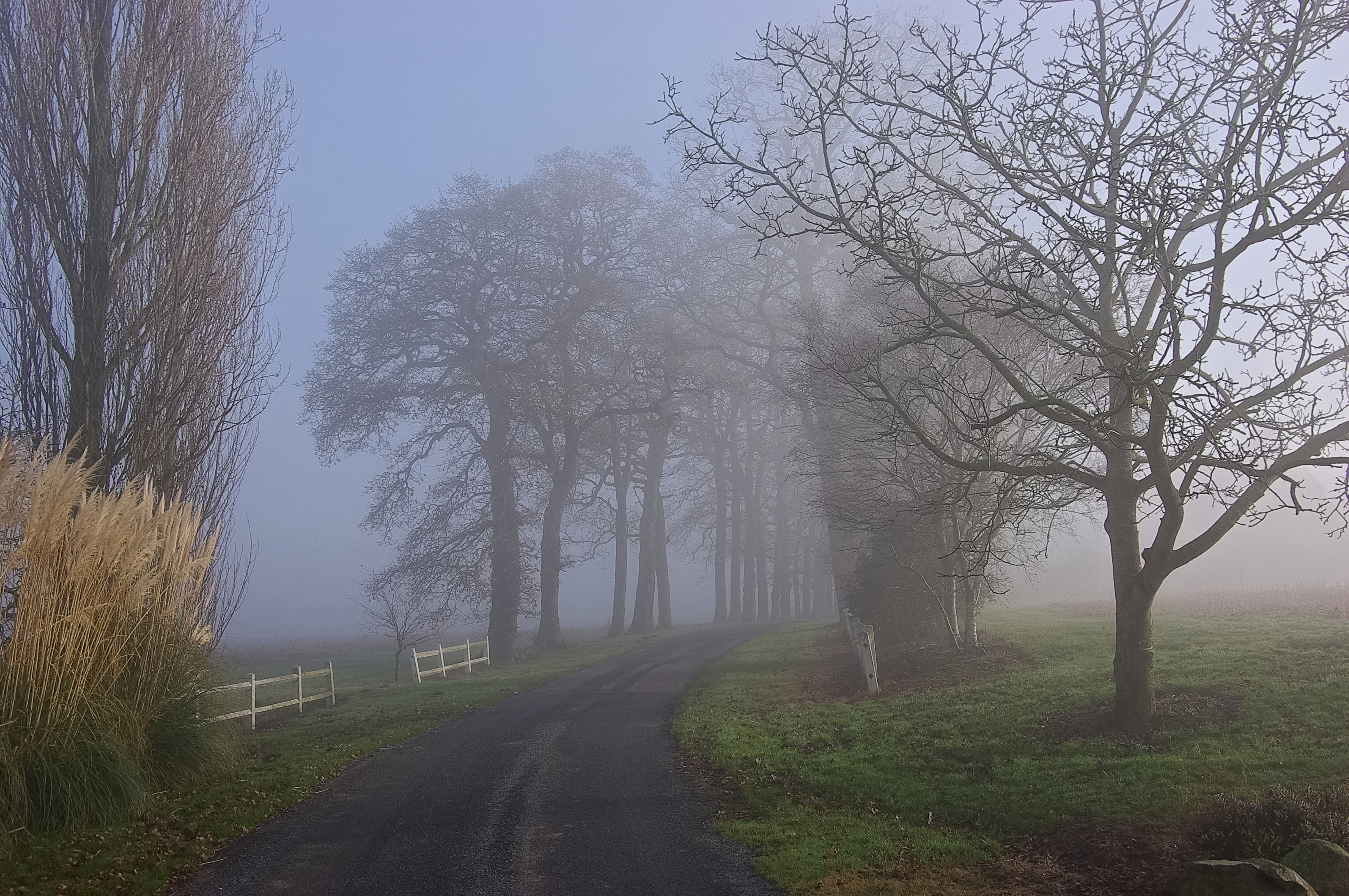 Hénanbihen 21 Brouillard 2007