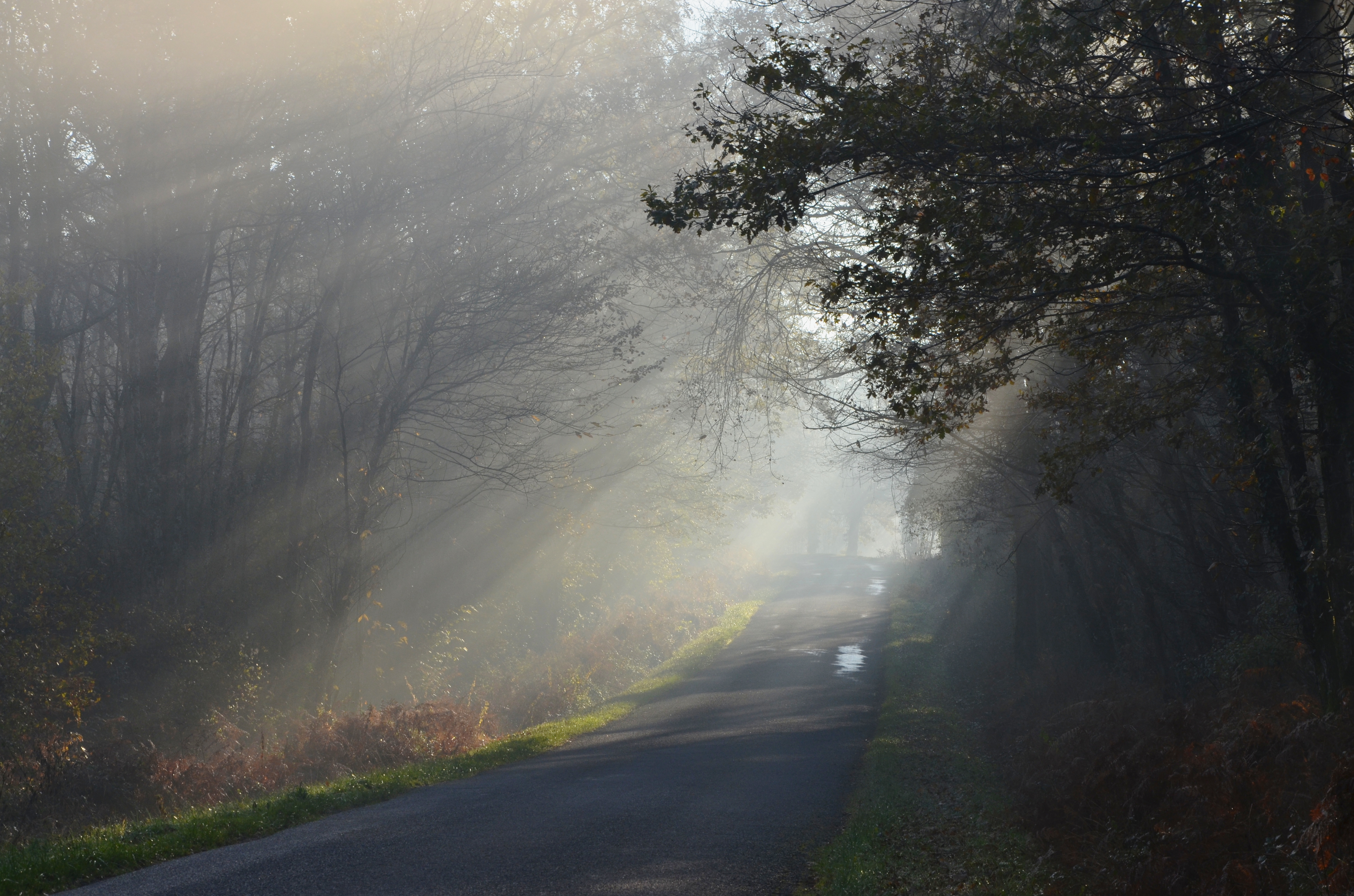 Juillaguet 16 Brume2 D19 2013