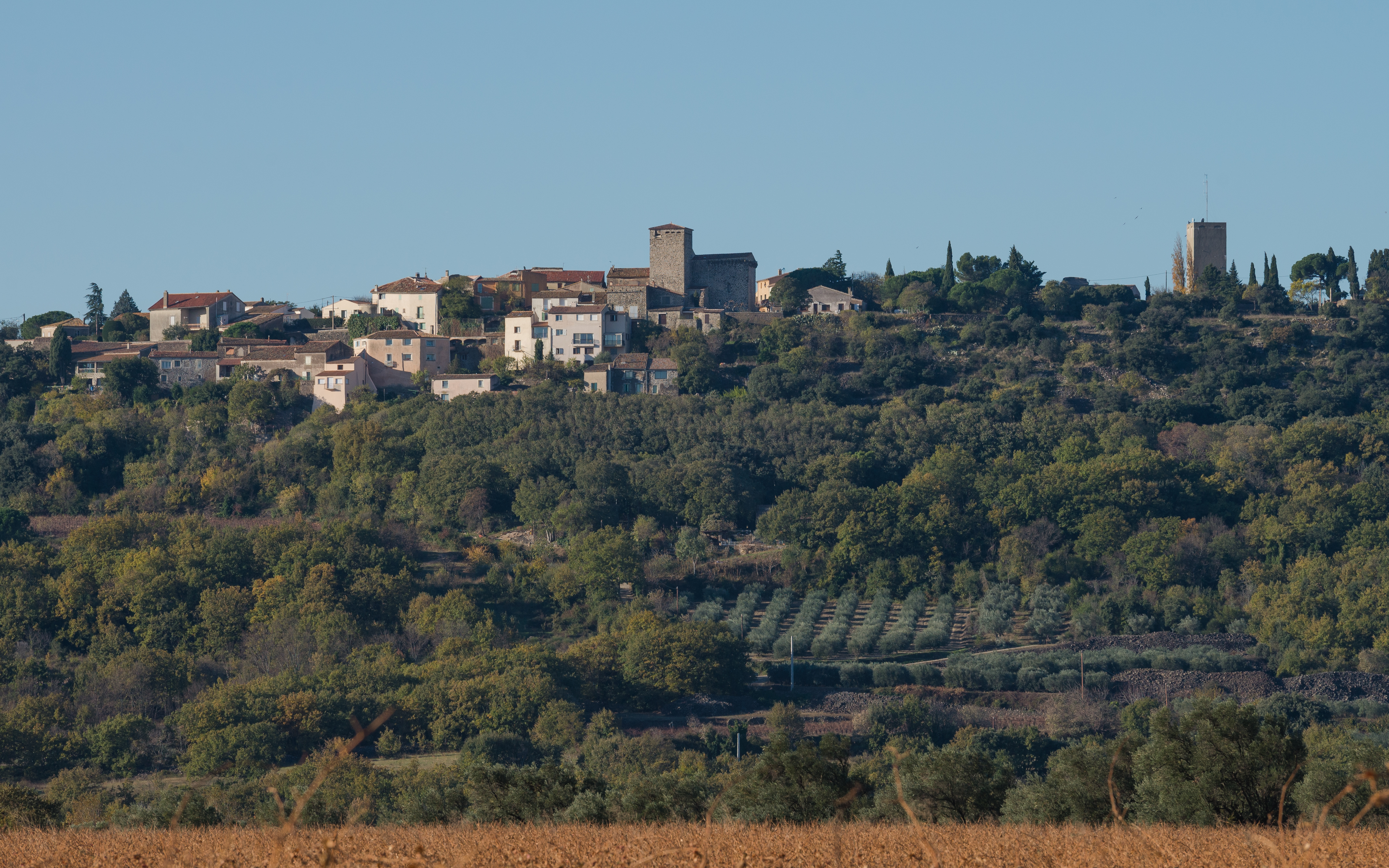 Lacoste, Hérault 01