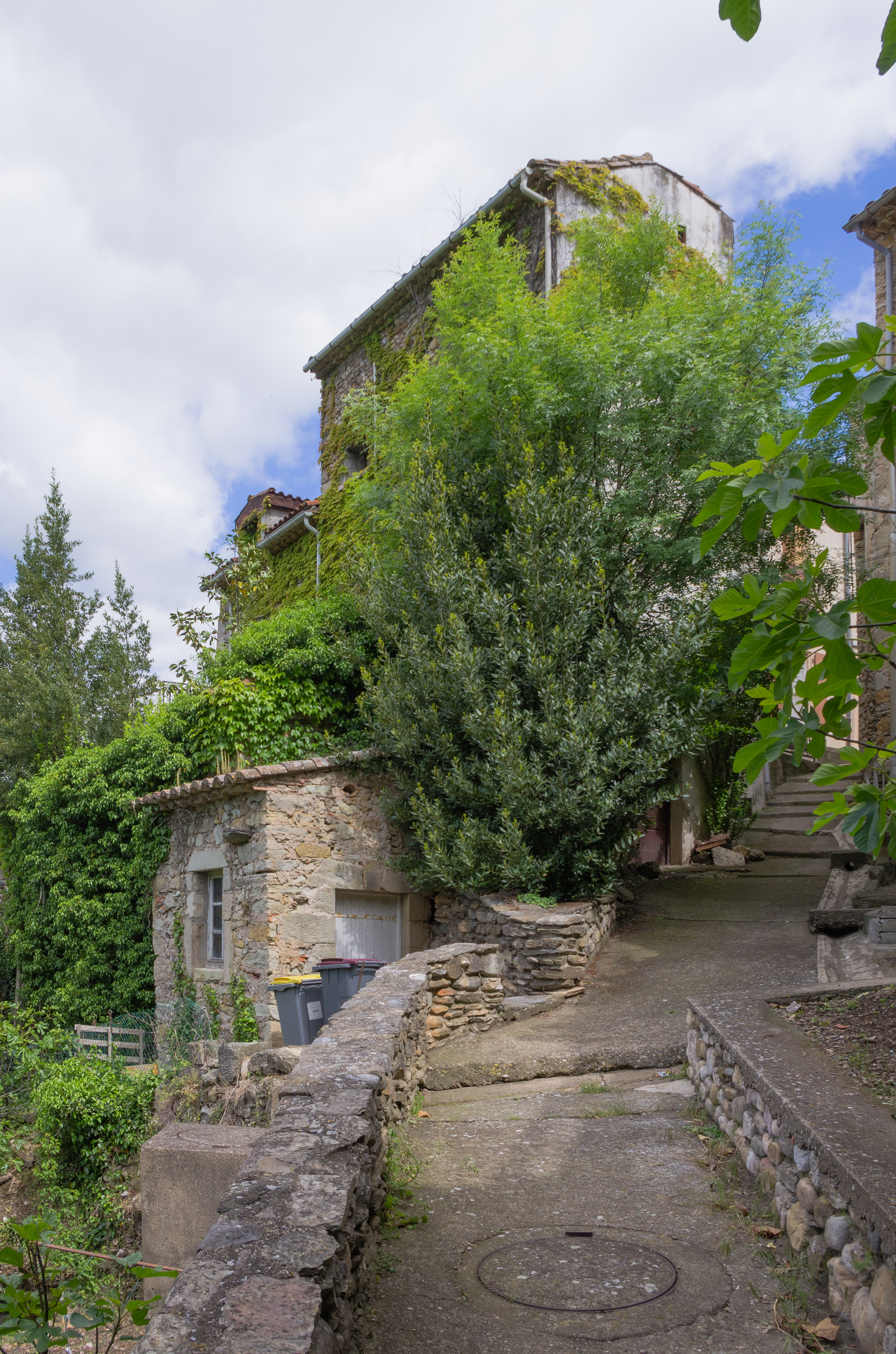 Les Aires, Hérault 02