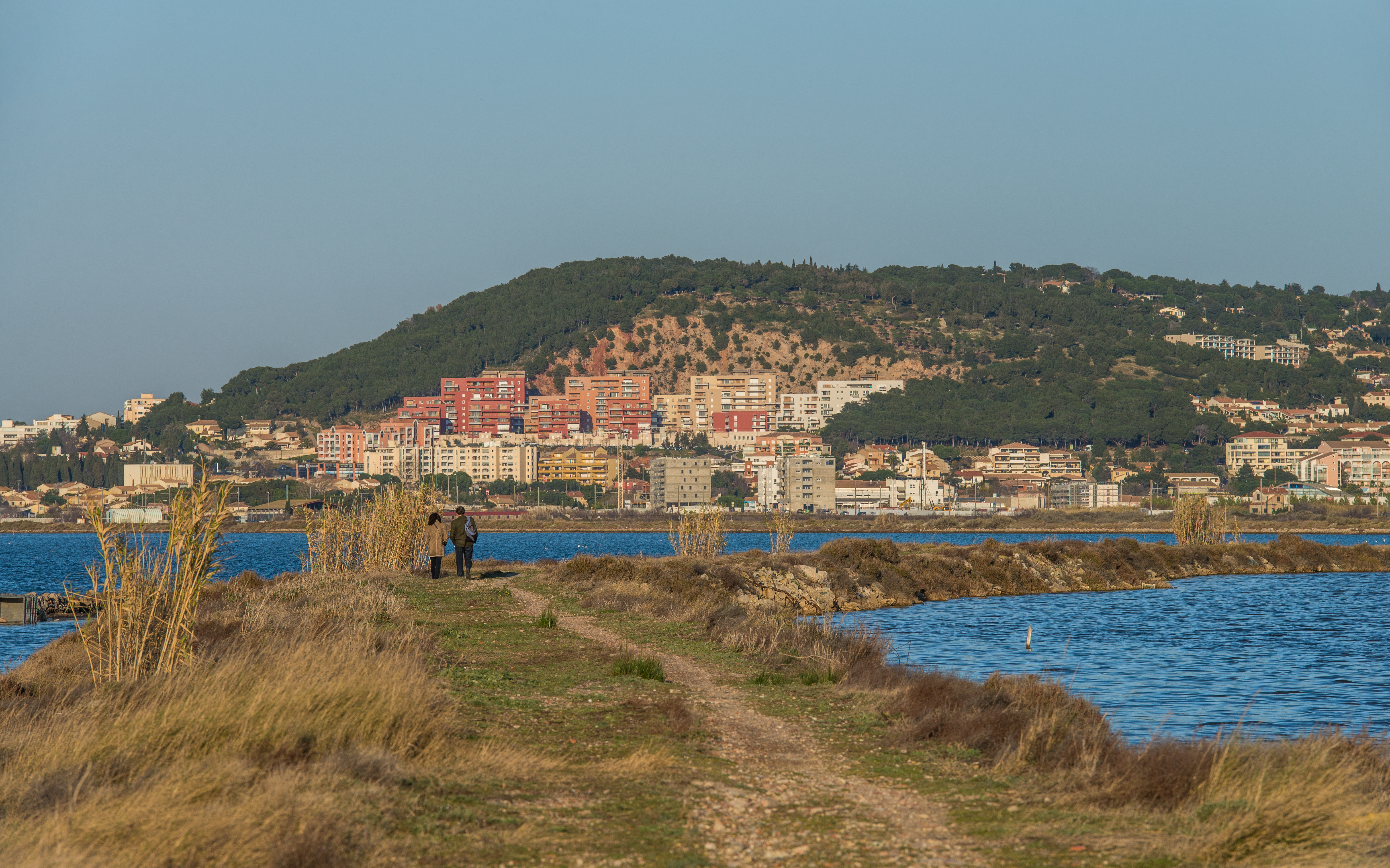 Lido de Thau, Sète, Hérault 10