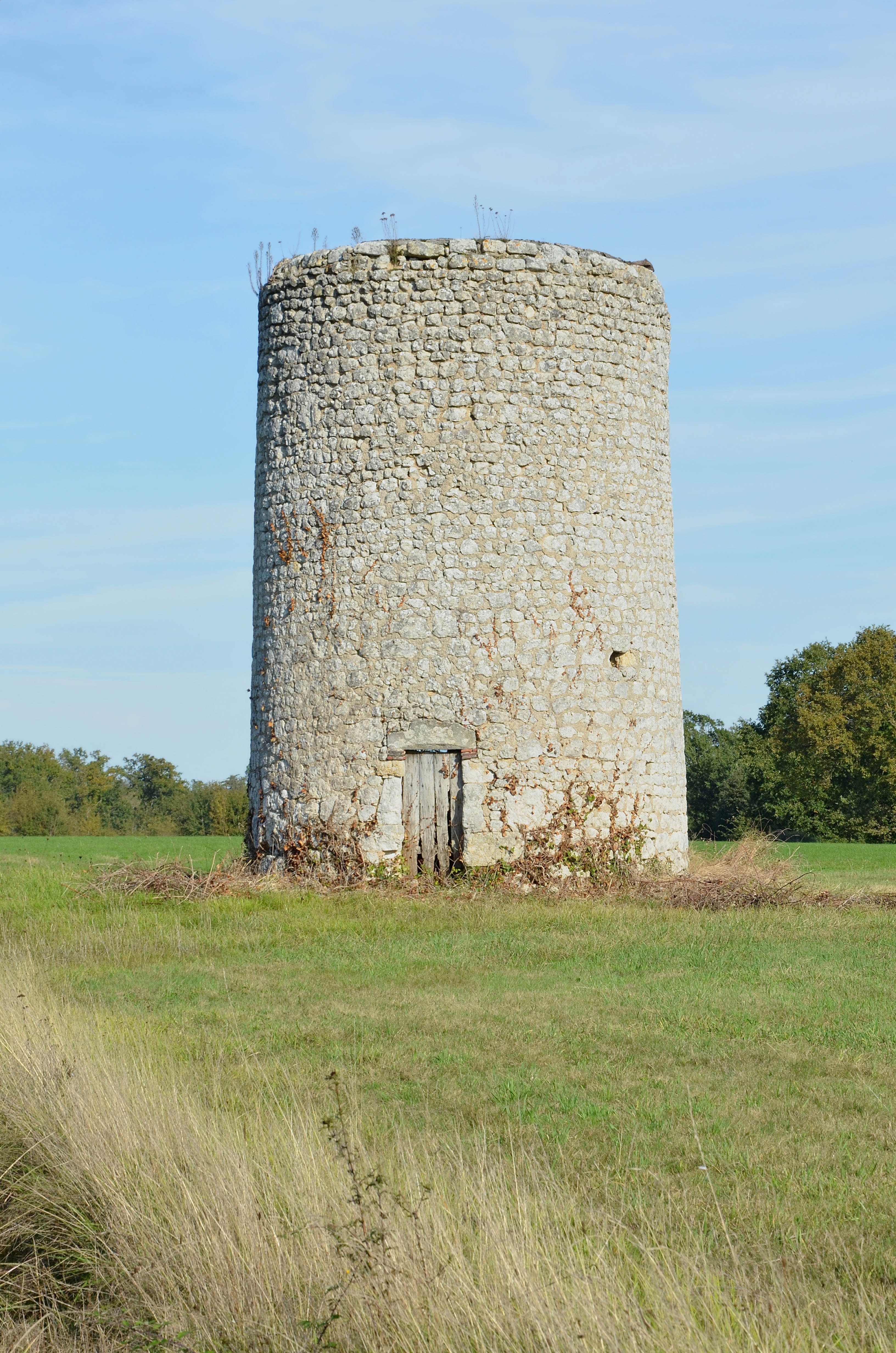 Nonac 16 Moulin en ruine près D74 2014