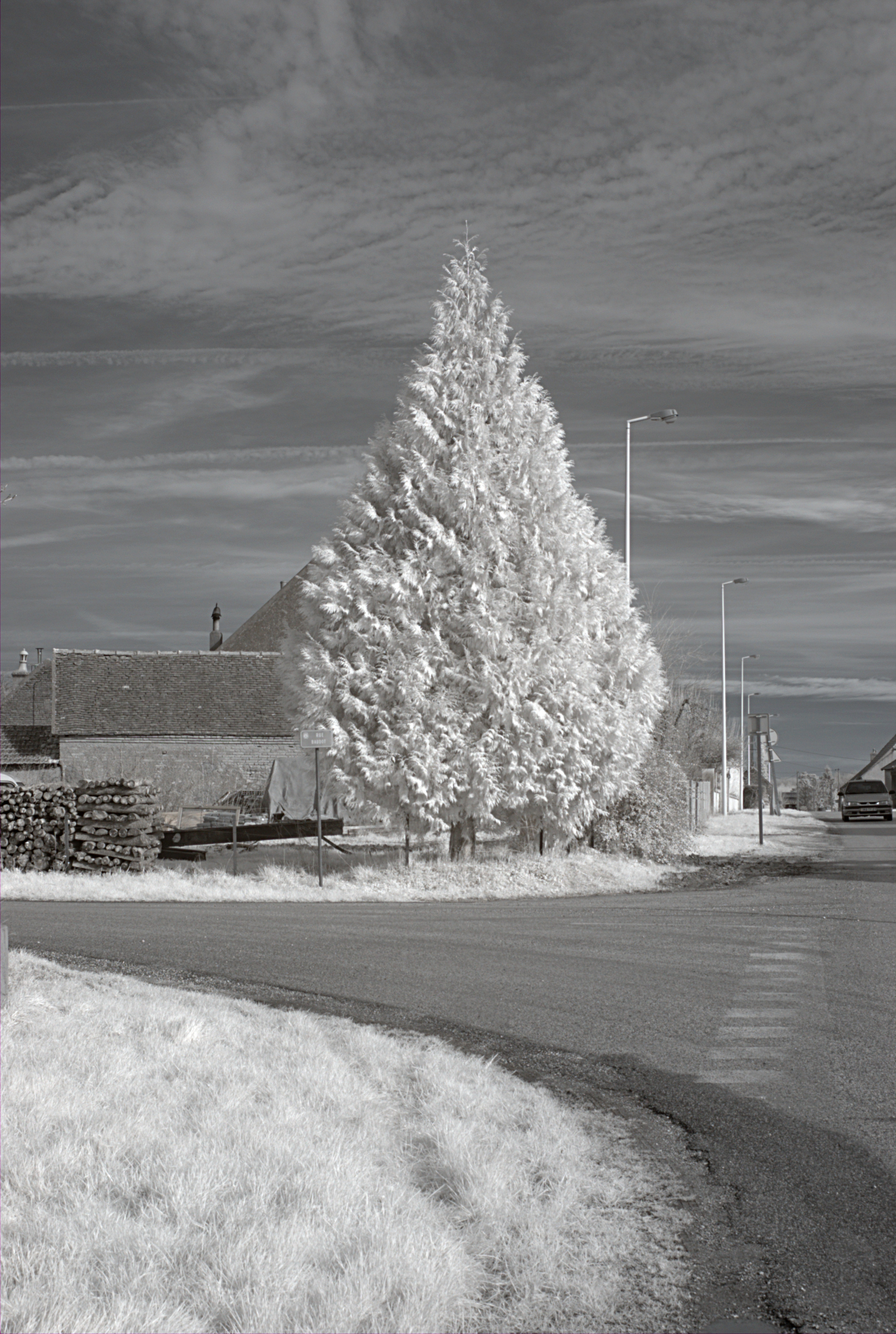 Pagny-le-Château 2013 01 31 07 IR