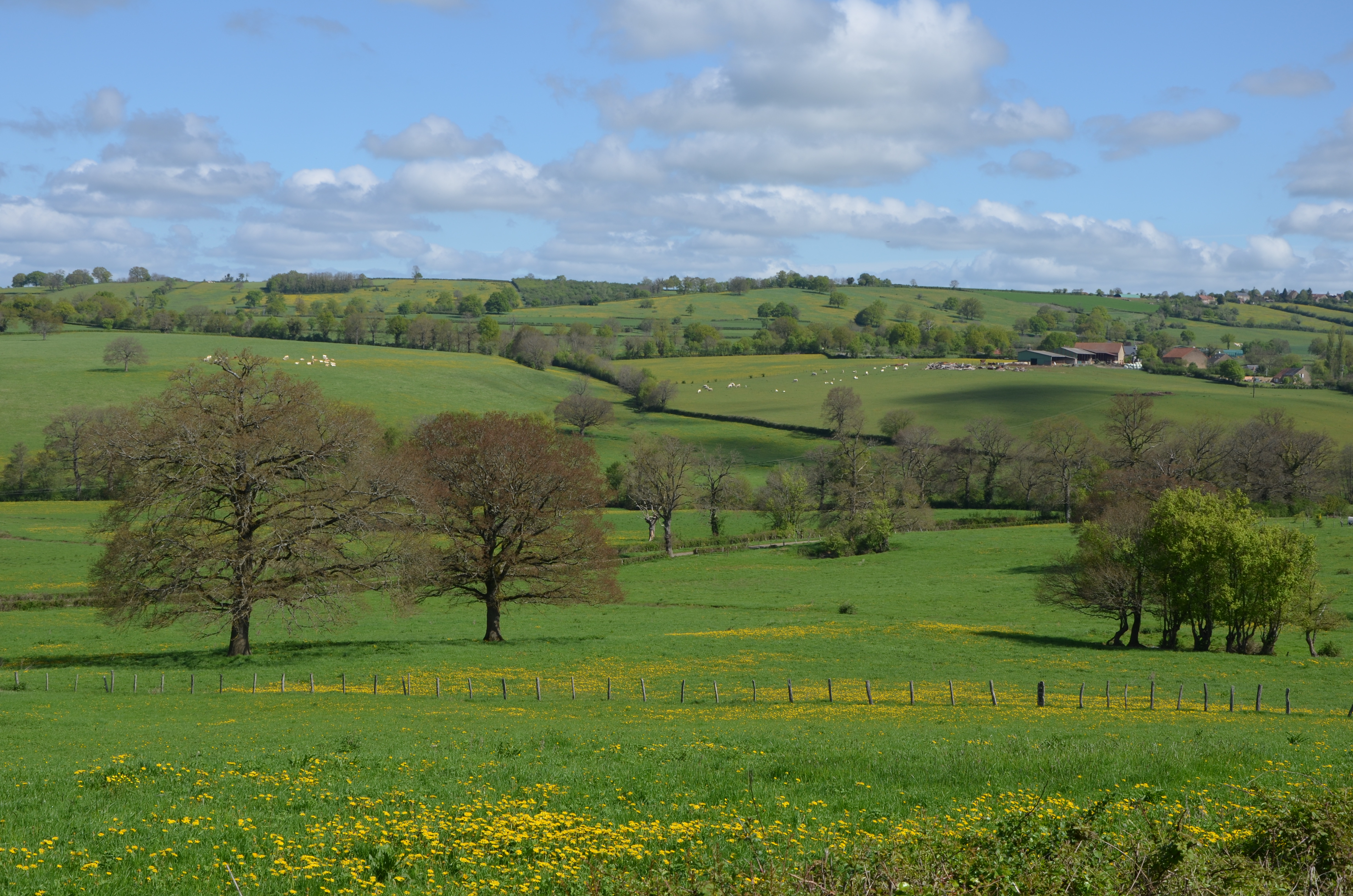 Paysages du Morvan DSC 0493