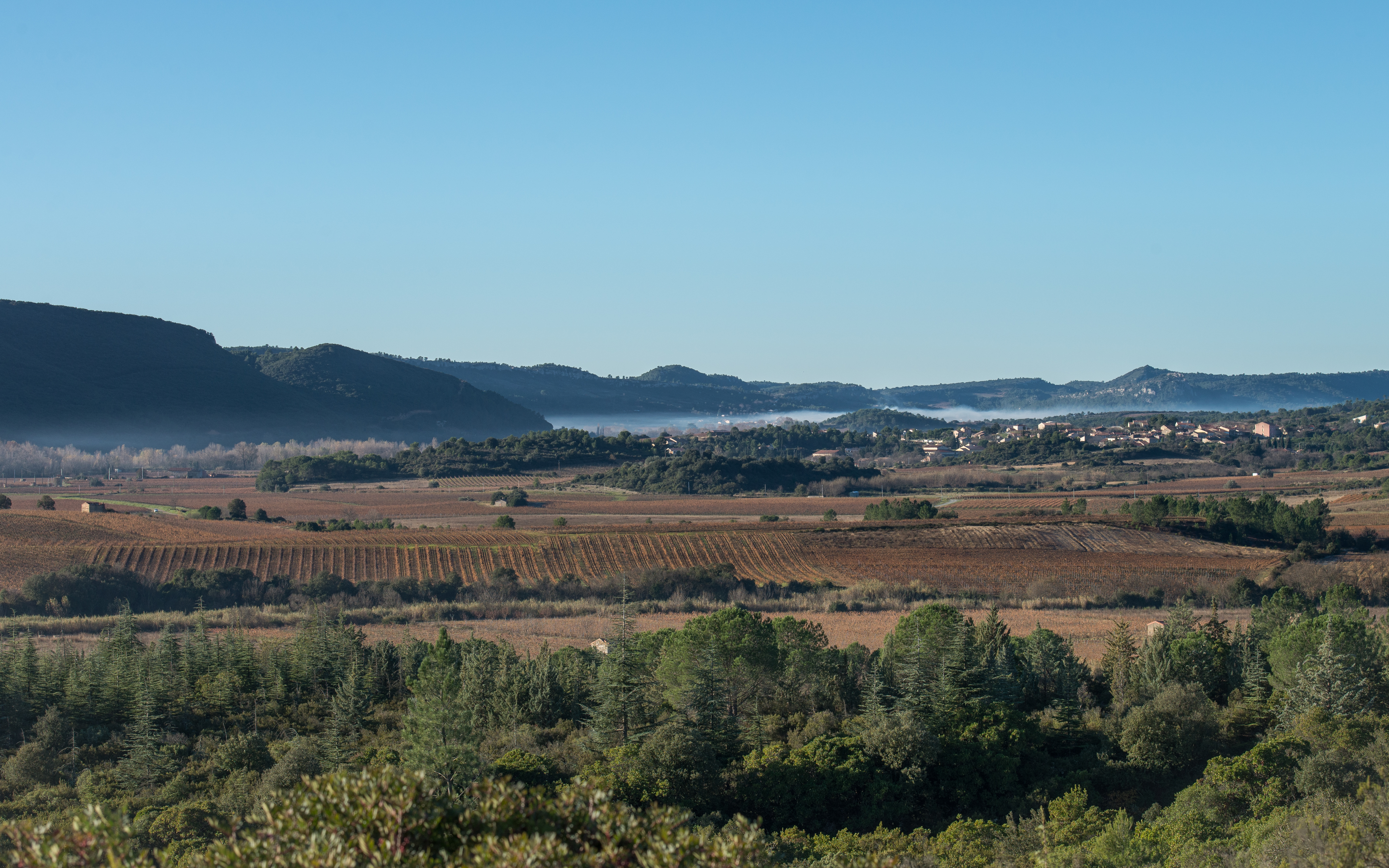 Prades-sur-Vernazobre, Hérault 02