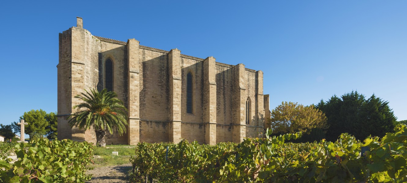 Église Sainte-Cécile de Loupian 01