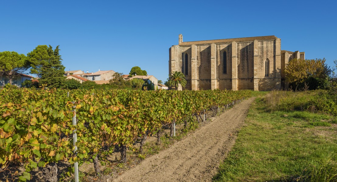 Église Sainte-Cécile de Loupian 02