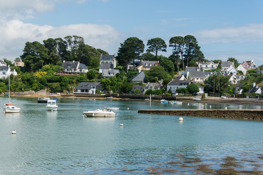 Île aux Moines 1, Morbihan, France