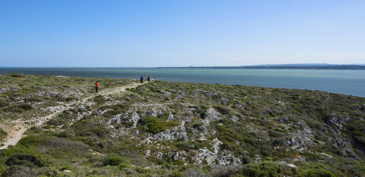 Île Saint-Martin, Gruissan cf23