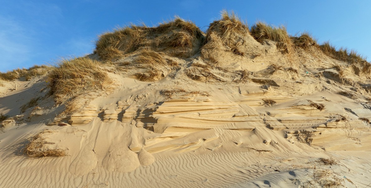 Ambleteuse dunes slack