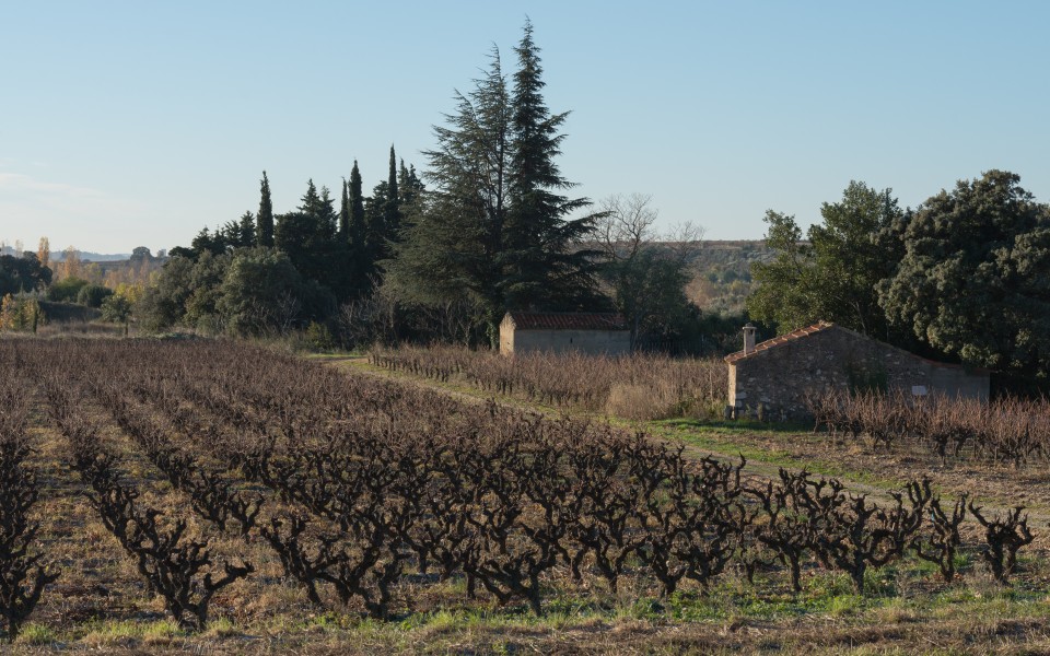 Aniane, Hérault 01