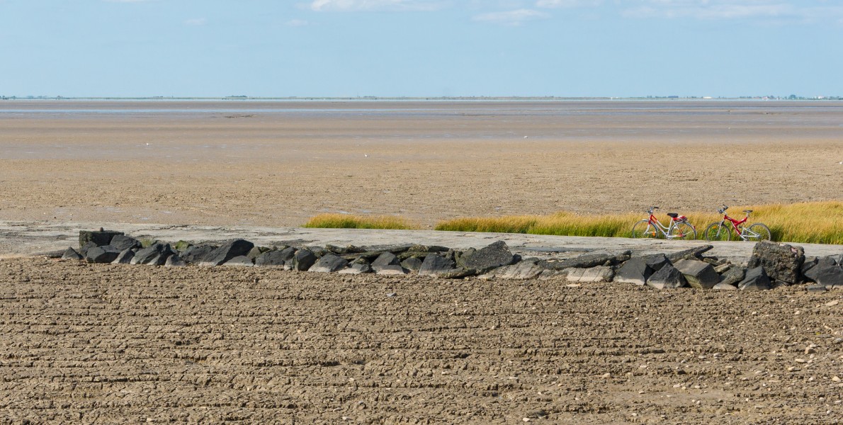 Baie aiguillon natural reserve cyclists Charente-Maritime