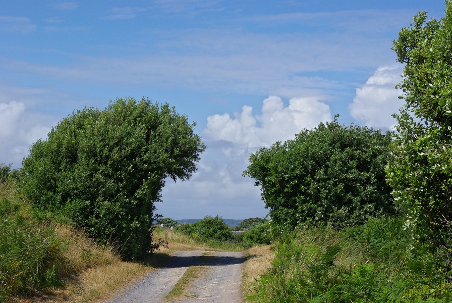 Batz-sur-Mer 44 Chemin 2009
