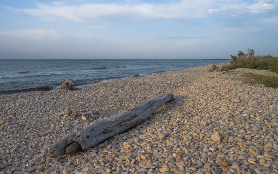 Beach, Vic-la-Gardiole 01