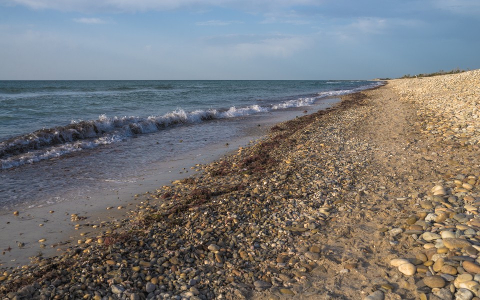 Beach, Vic-la-Gardiole 03