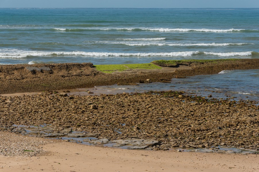 Beach Sainte-Marie-de-Ré 2 Charente Maritime