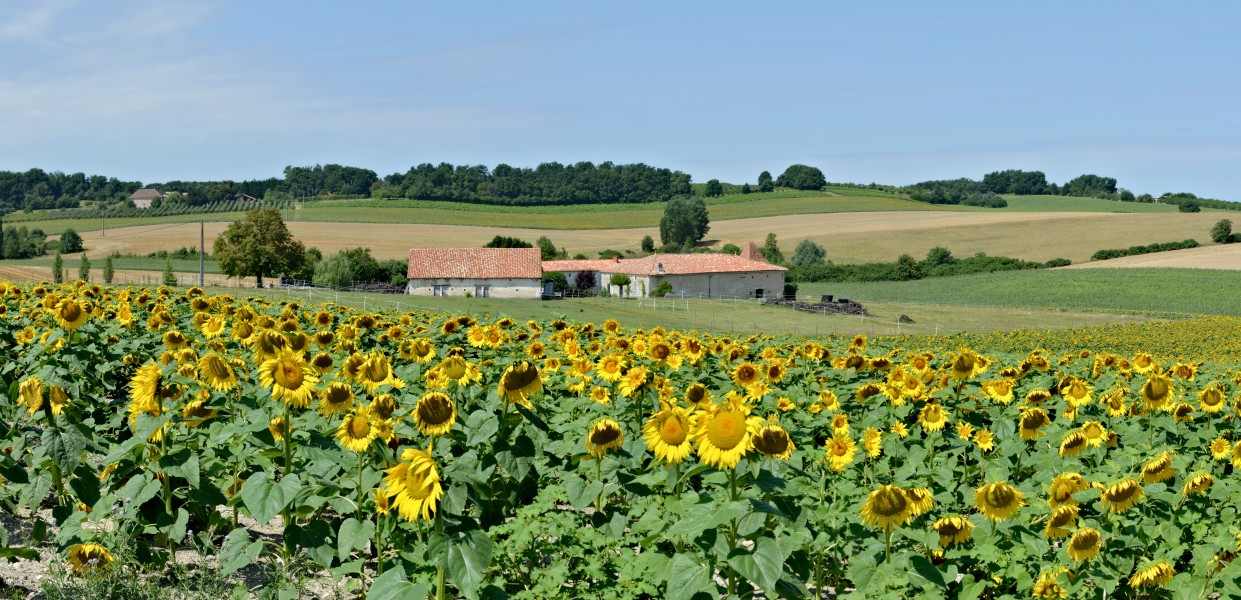 Bessac 16 Le Menot 2013