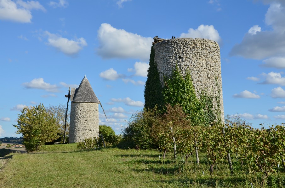 Bessac 16 Moulins près D46 2014