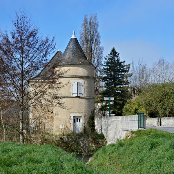 Blanzac 16 Pigeonnier-pont des Rices 2014