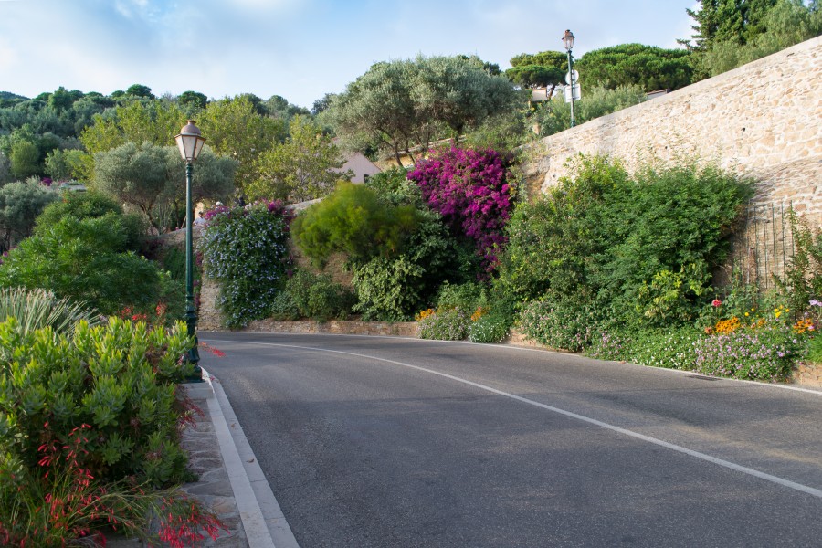 Bormes les Mimosas 2013 01