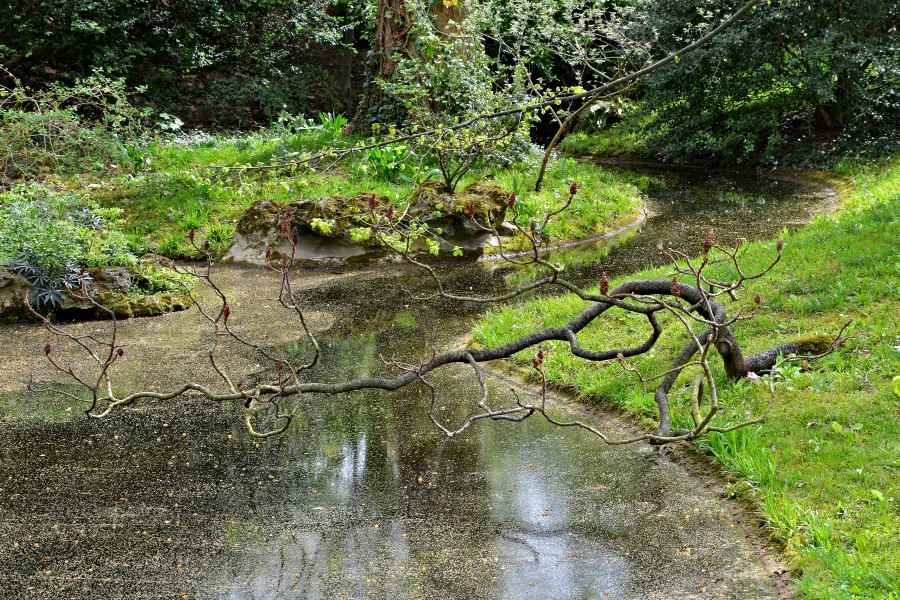 Boulogne-Bill Musée A-Kahn Jardin détail 2014