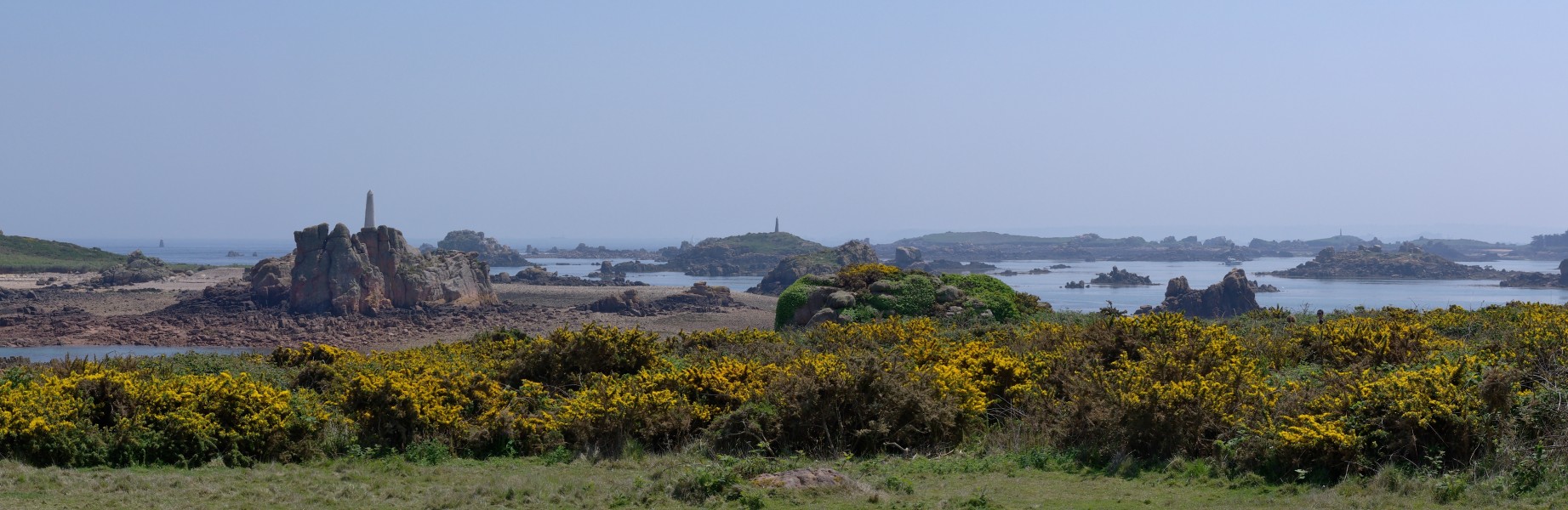 Bréhat Ajoncs 2010