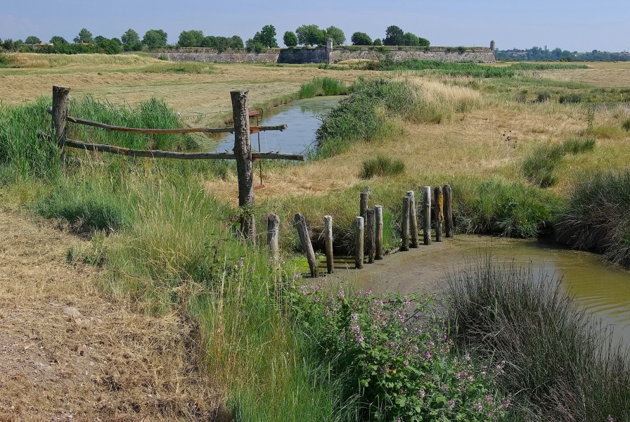 Brouage 17 Marais 2010