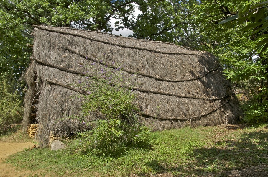 Cabane chaume