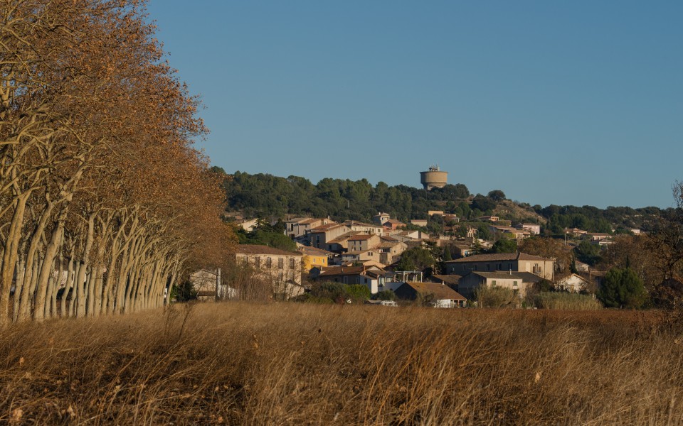 Campagnan, Hérault 01