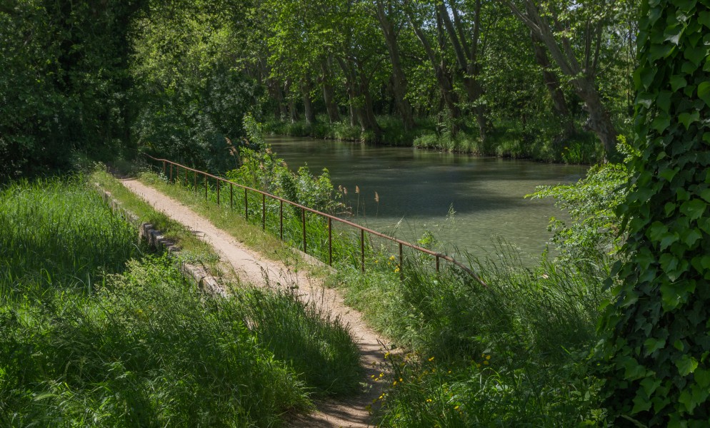 Canal du Midi, Agde, Hérault 03